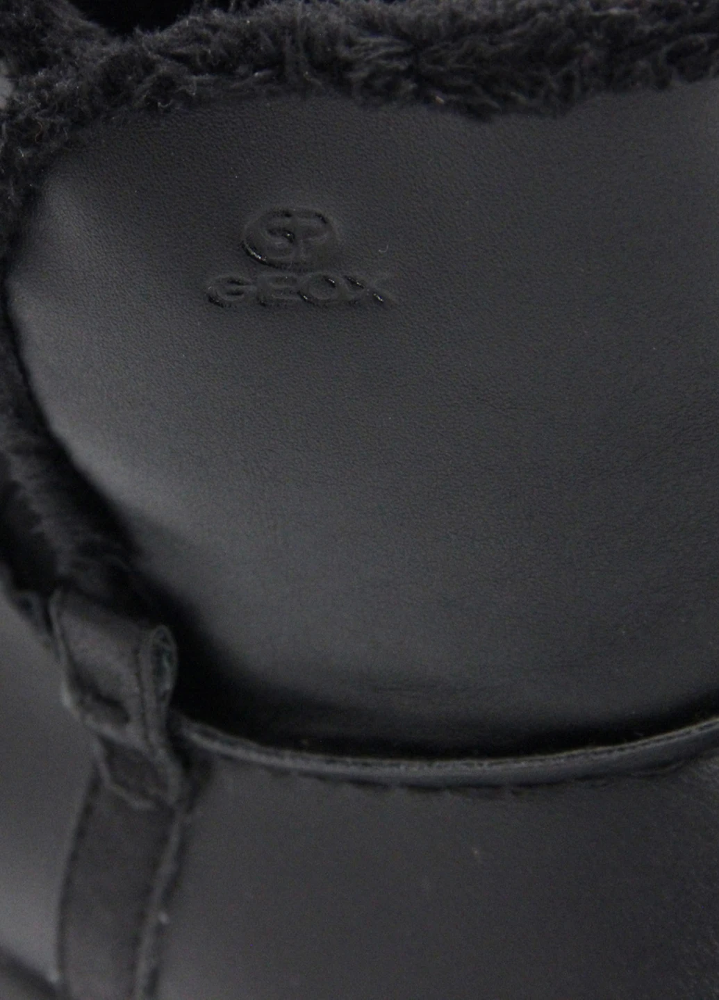 Жіночі черевики Geox (252393509)