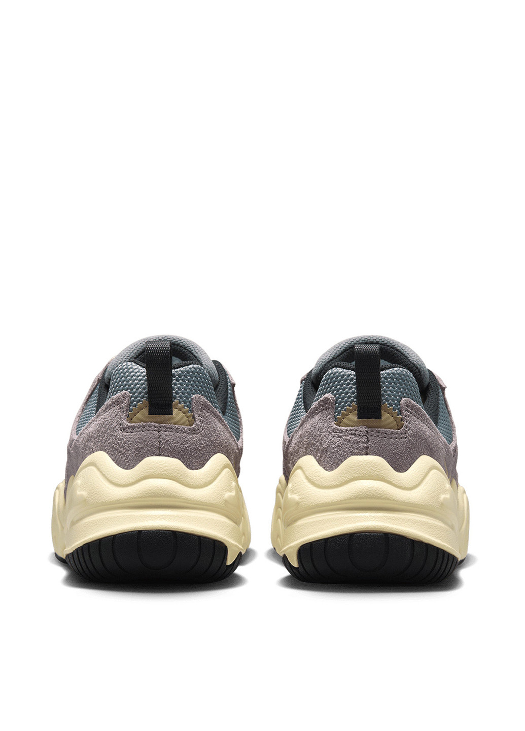 Кросівки Nike TECH HERA комбіновані демісезони (348139115)