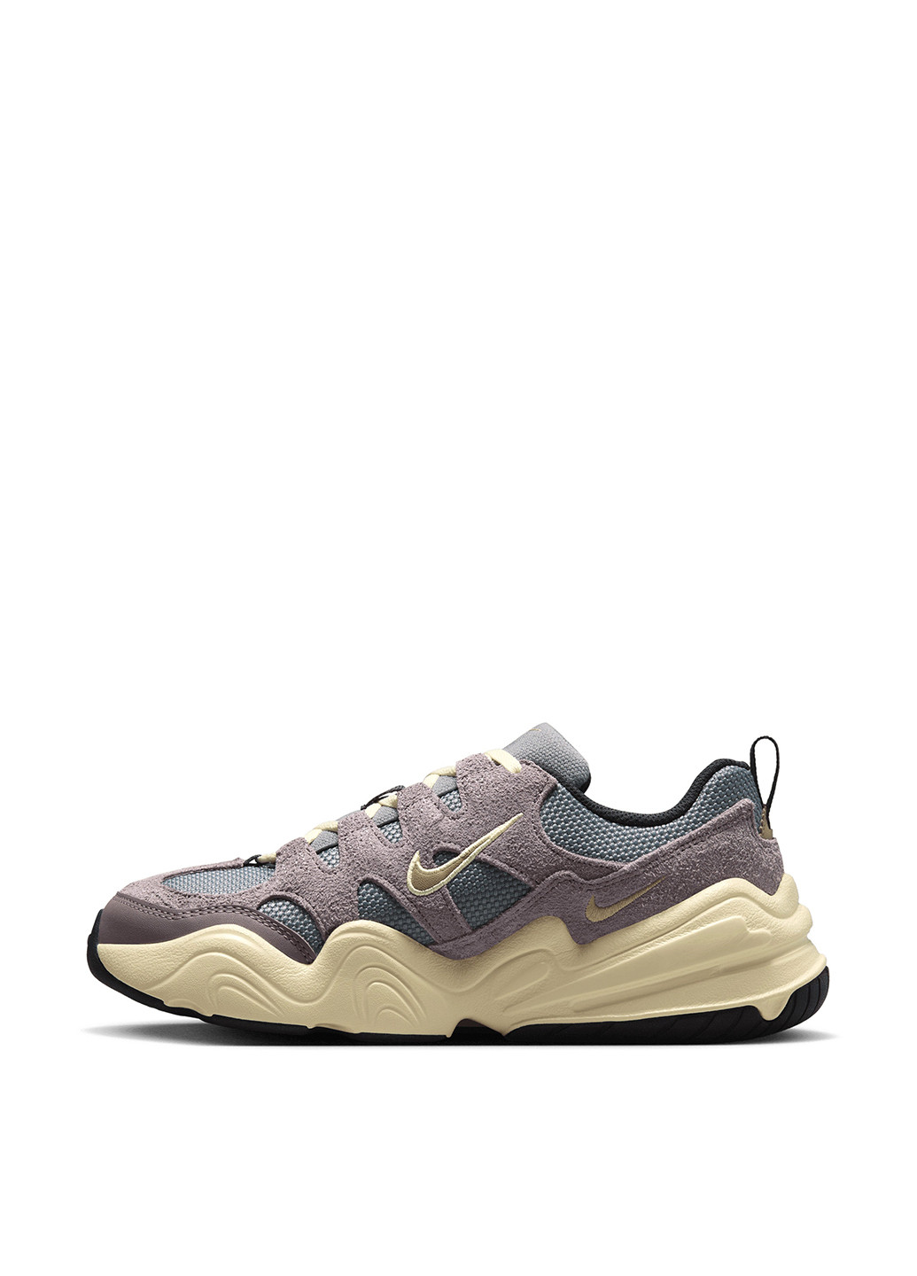 Кросівки Nike TECH HERA комбіновані демісезони (348139115)