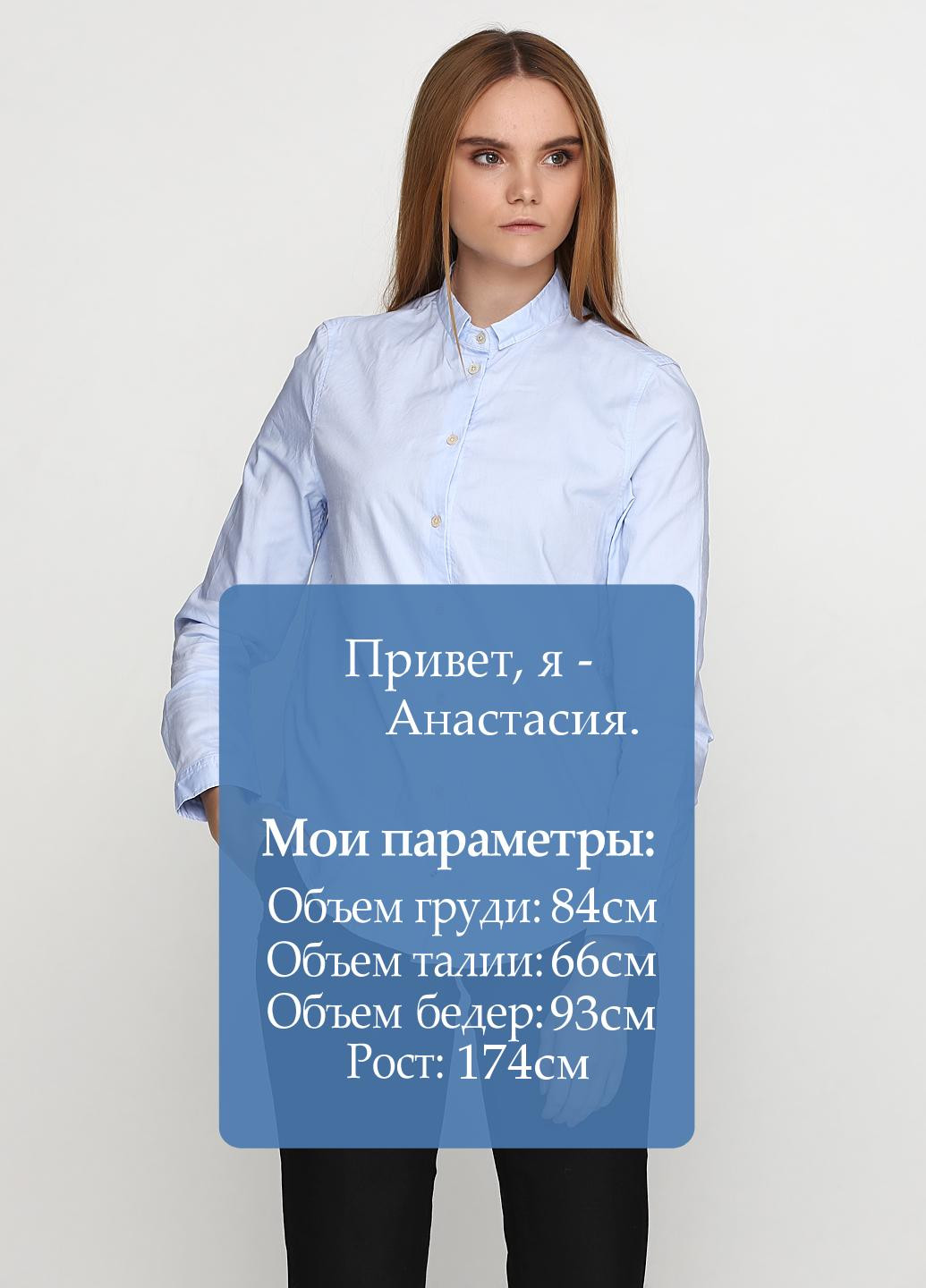 Голубой классическая рубашка однотонная Massimo Dutti
