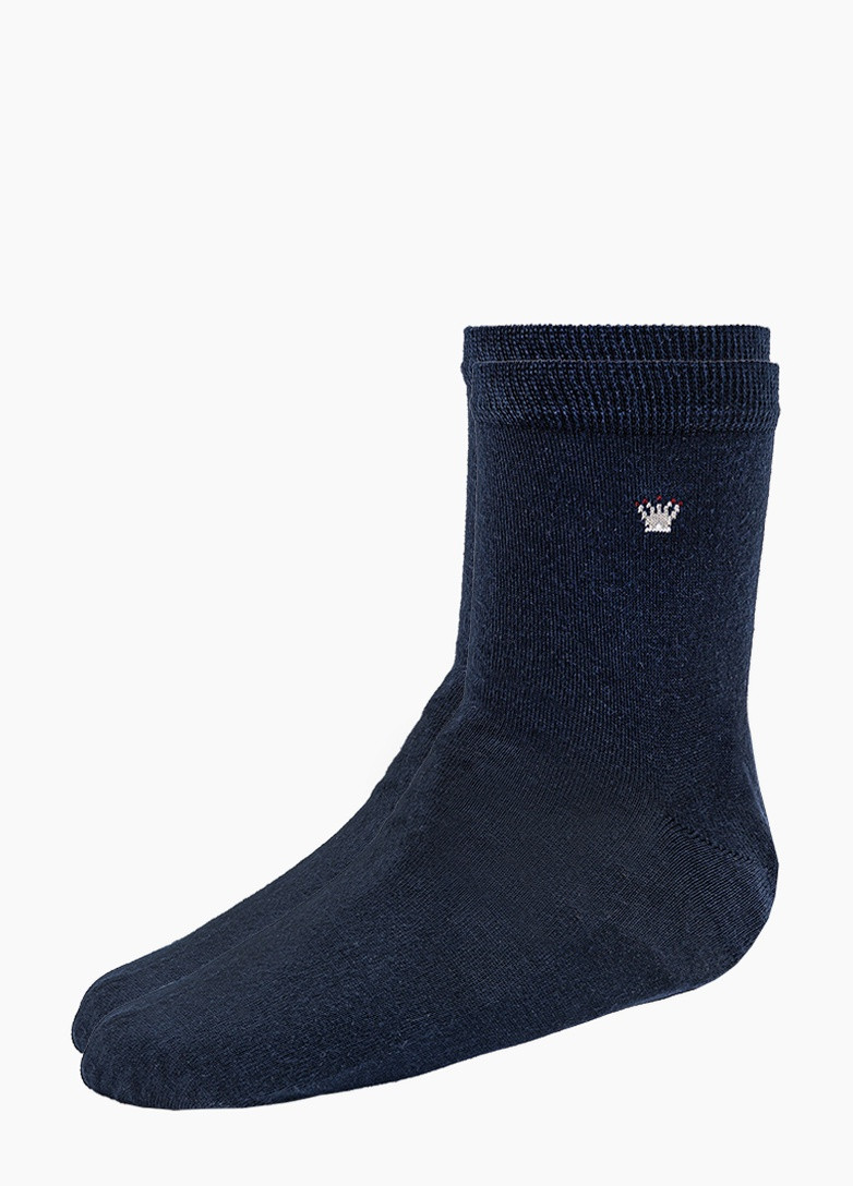 Шкарпетки чоловічі,41-44 E-601 Синій (2000904238675) Pier Lone (254111467)