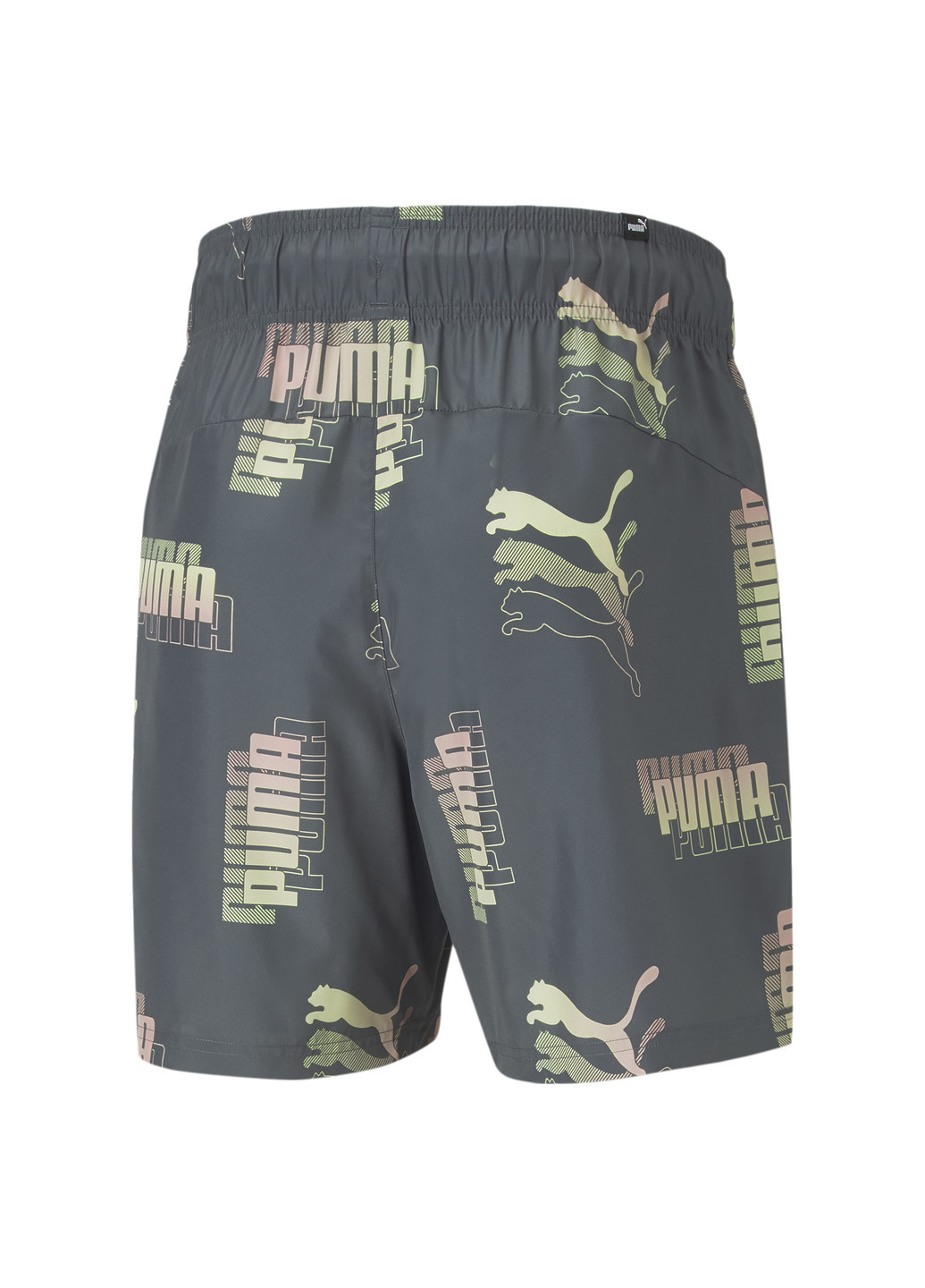 Шорти Power Summer Printed Men’s Shorts Puma (253563942)