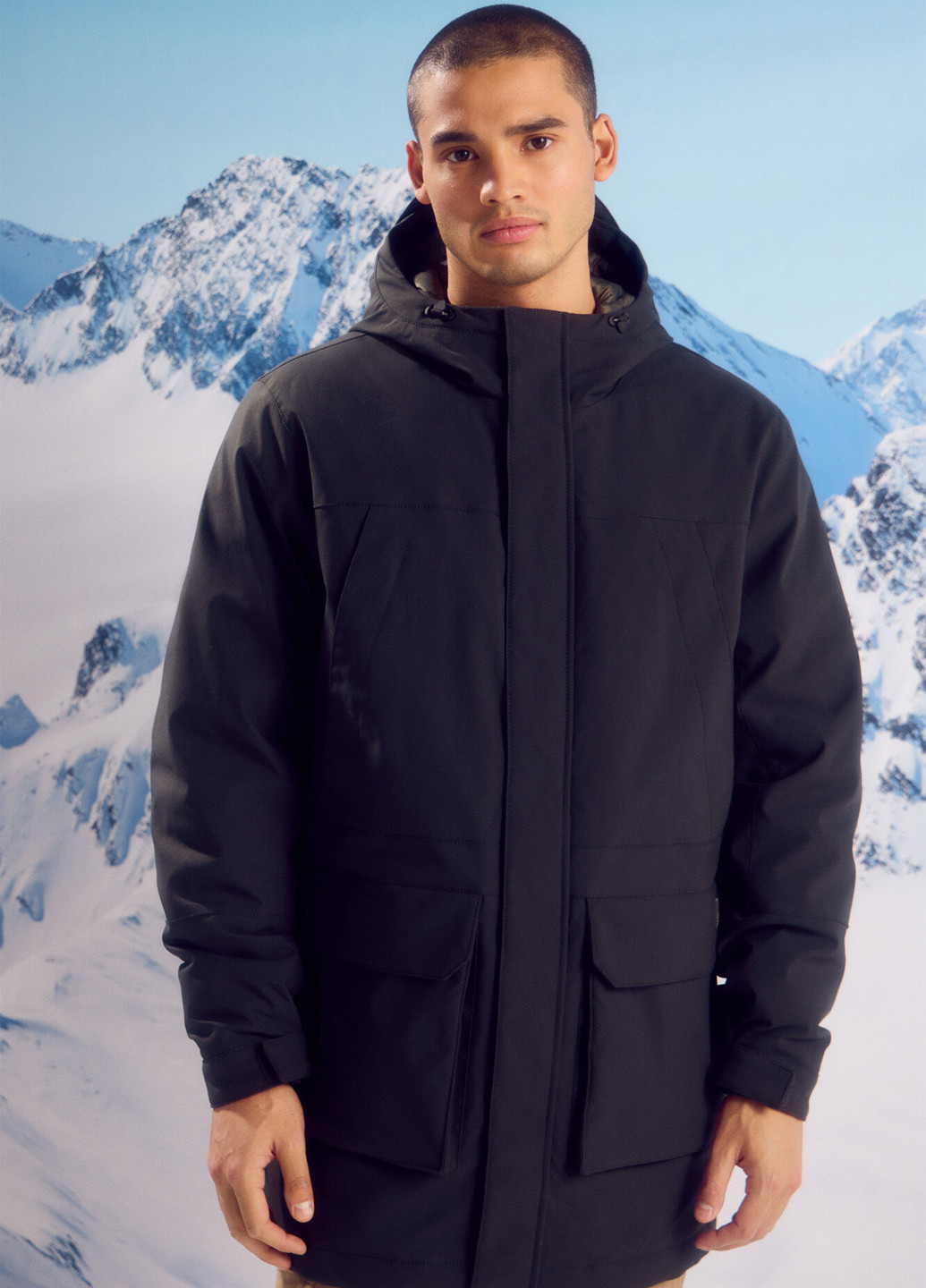 Парка Springfield (315624462)