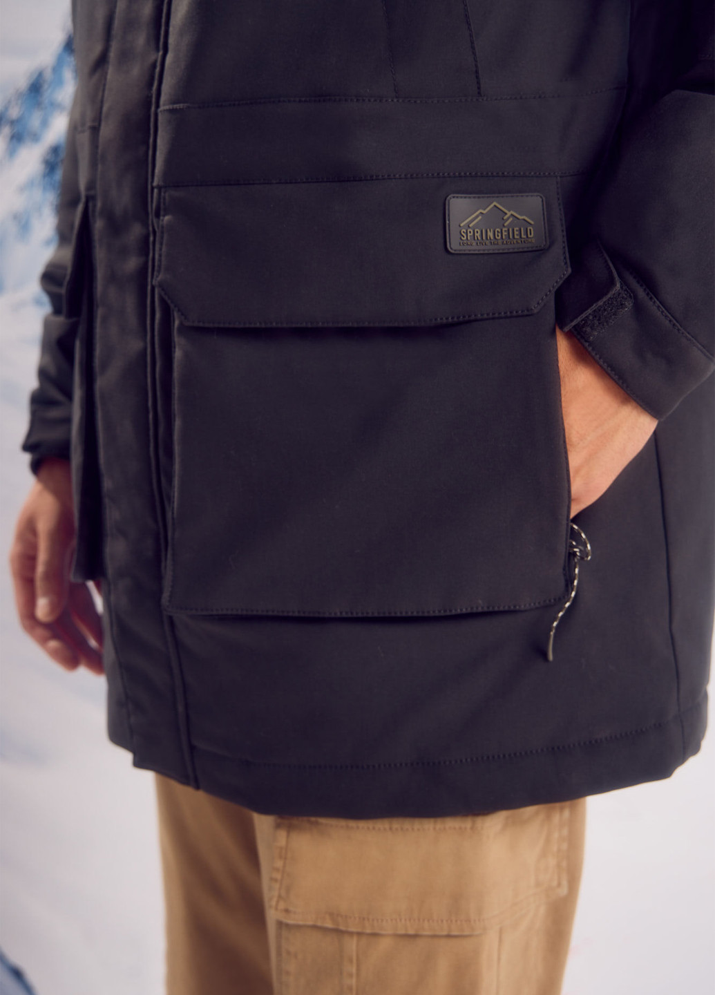 Парка Springfield (315624462)