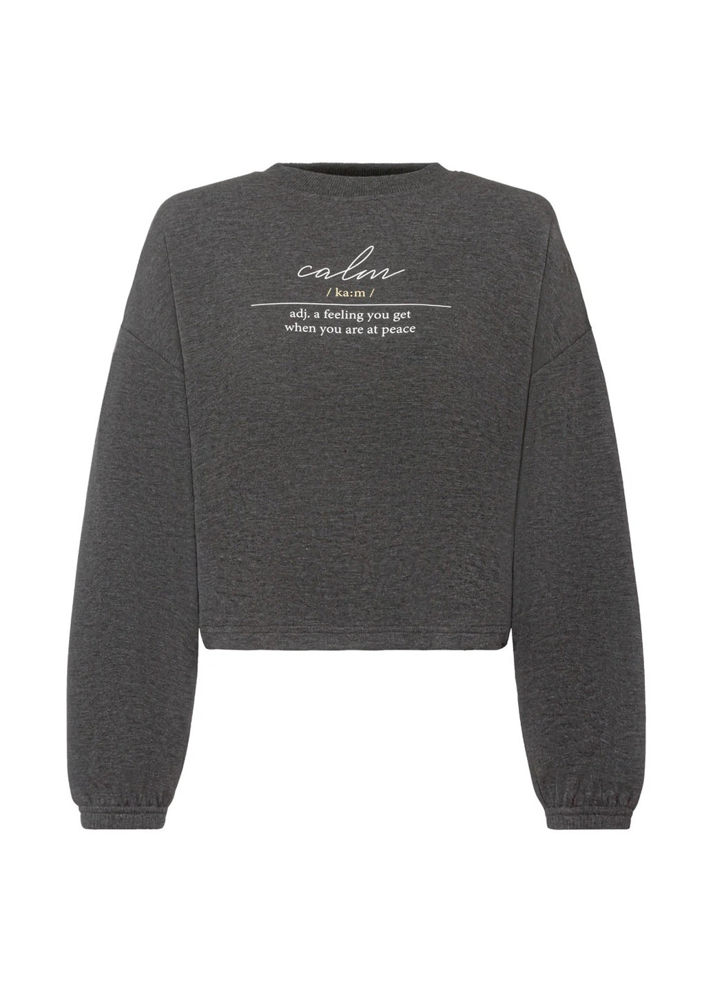 Темно-сірий світшот Esmara напис без декору (304030871)