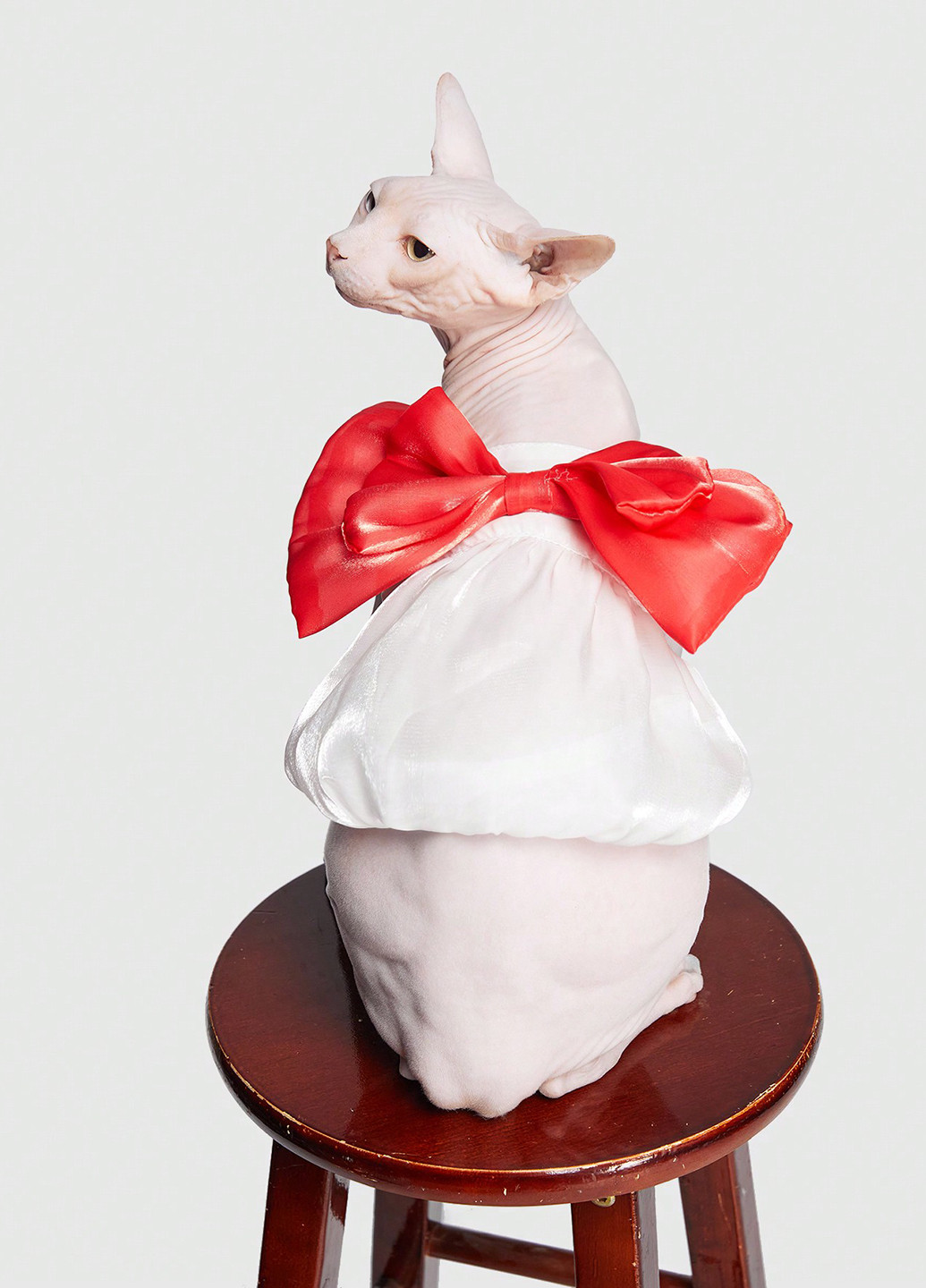 Костюм Romwe (329609772)