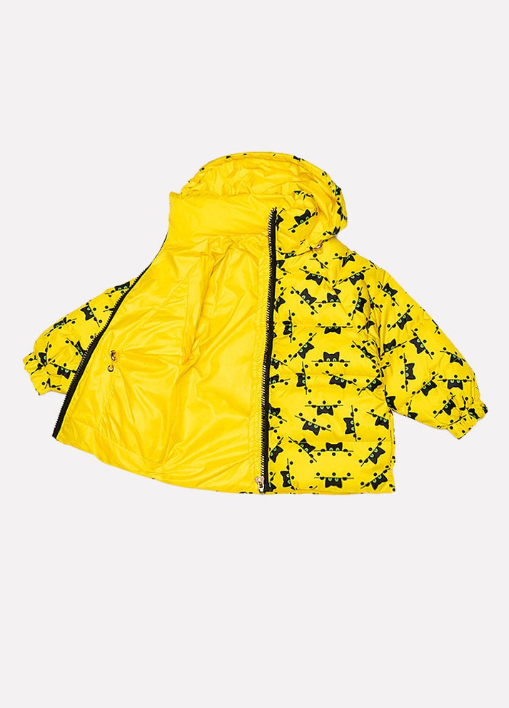 Жовта демісезонна куртка Yuki