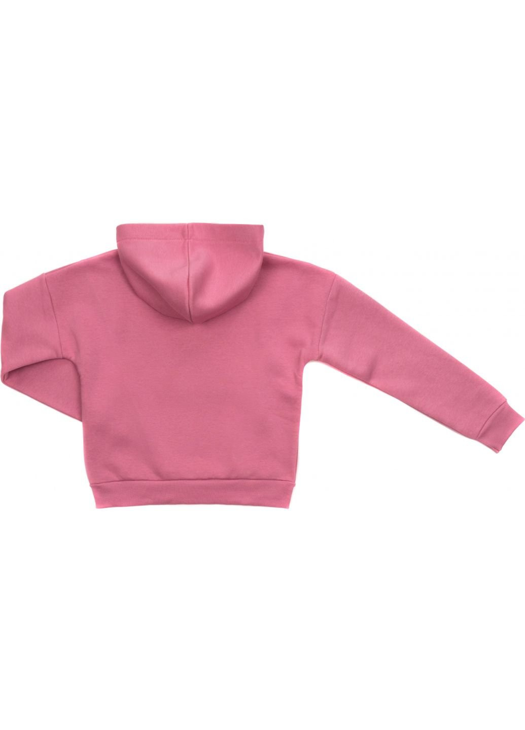 Комбинированный демисезонный спортивный костюм с капюшоном (16467-164g-pink) Breeze