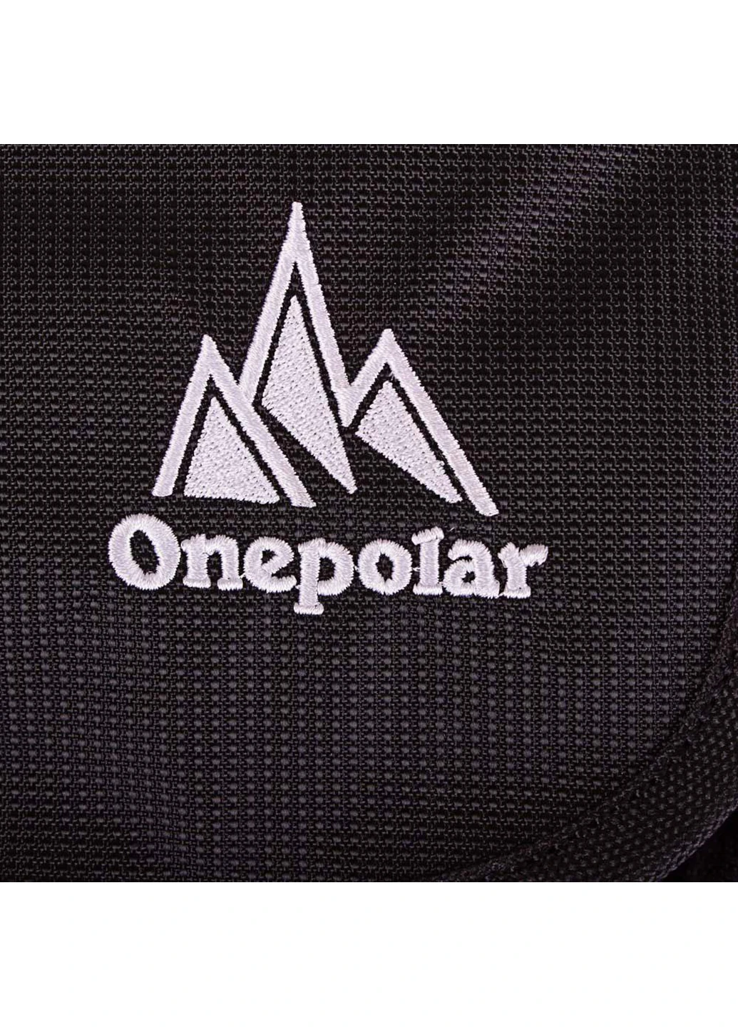 Мусжкая сумка спортивная 20х25х10 см Onepolar (253031886)
