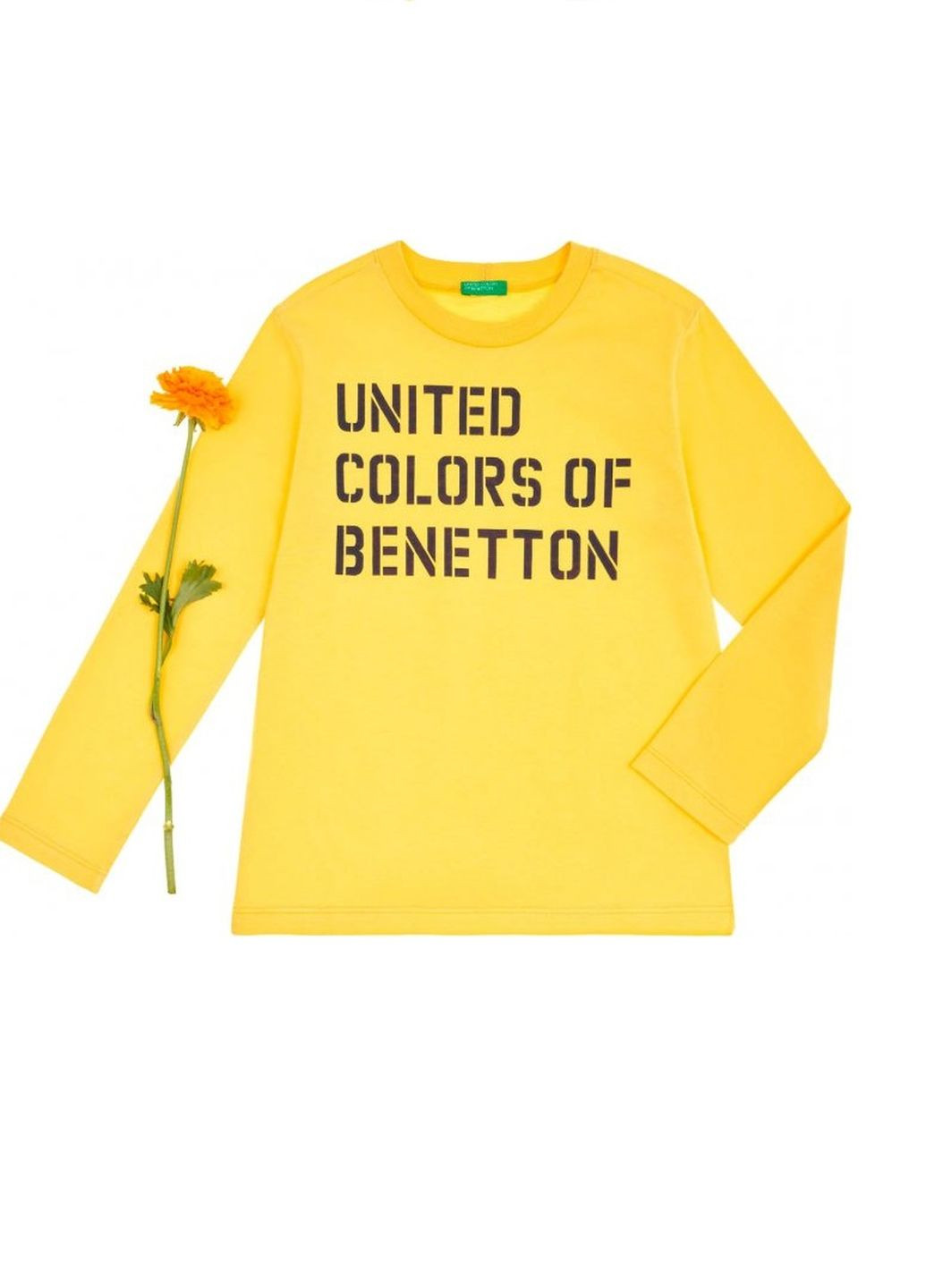 Кофта United Colors of Benetton (230494537)