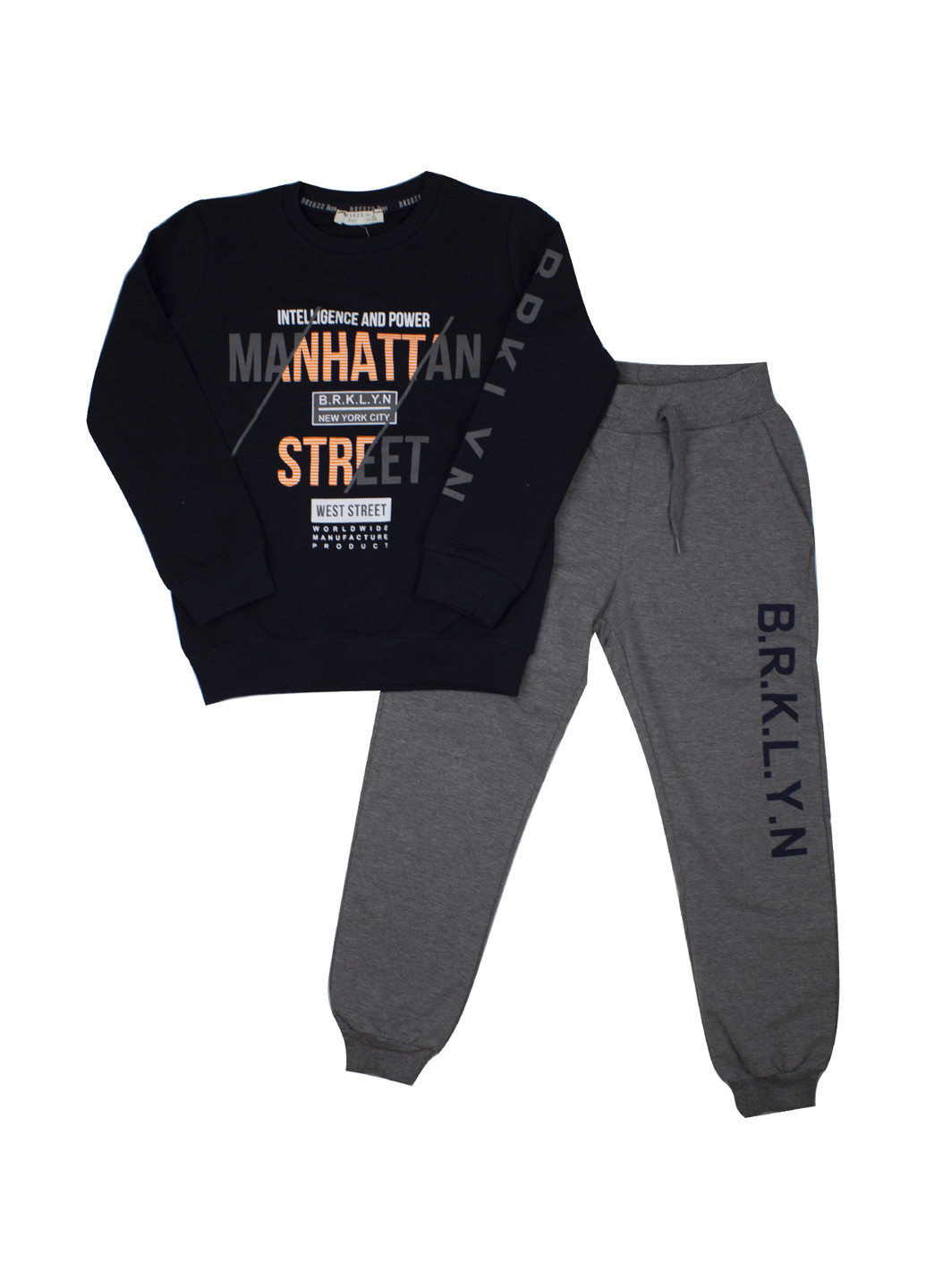 Комбинированный демисезонный костюм (свитшот, брюки) брючный Breeze