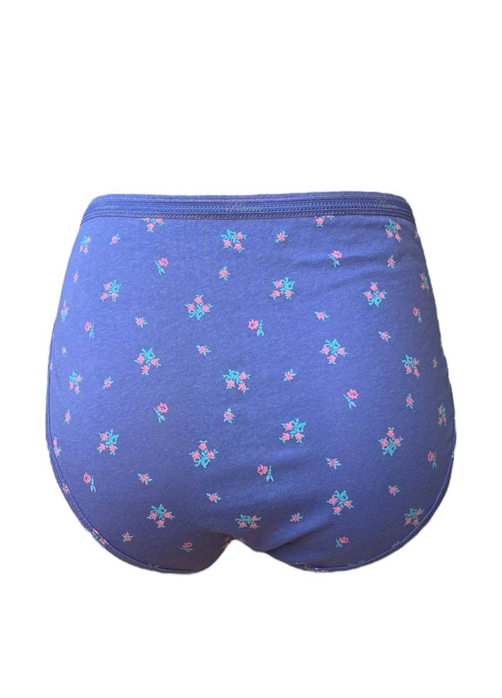 Трусики (2 шт.) Hanes (328269737)