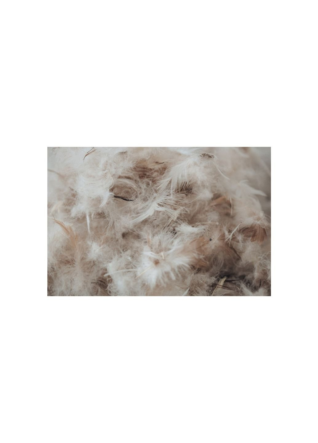 Ковдра пухова Extra 042 зима+ 200x220 см (2200000000941) Mirson (254075050)