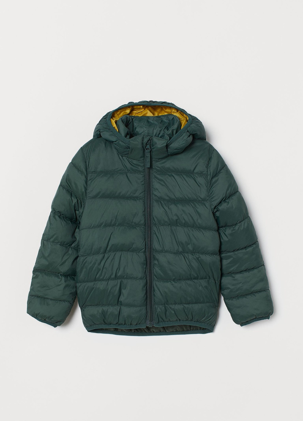 Зеленая демисезонная куртка H&M