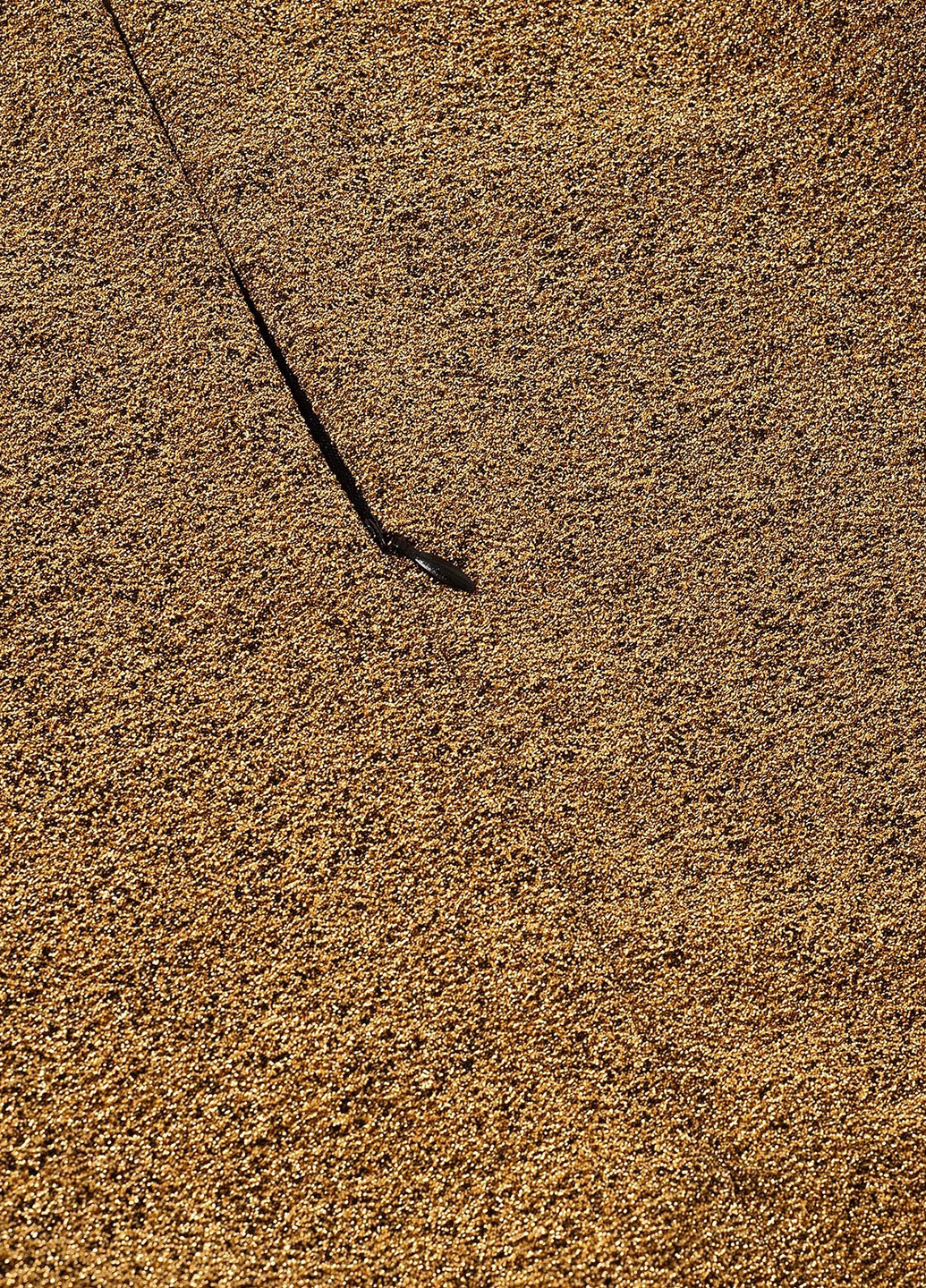 Золотистое вечернее платье силуэтная SHEIN однотонное