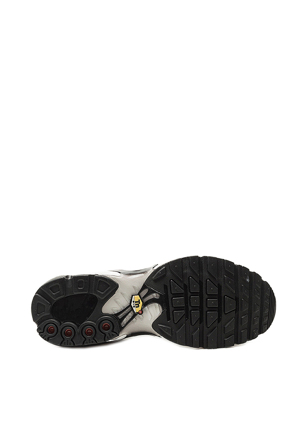 Чорні Осінні кросівки Nike AIR MAX PLUS