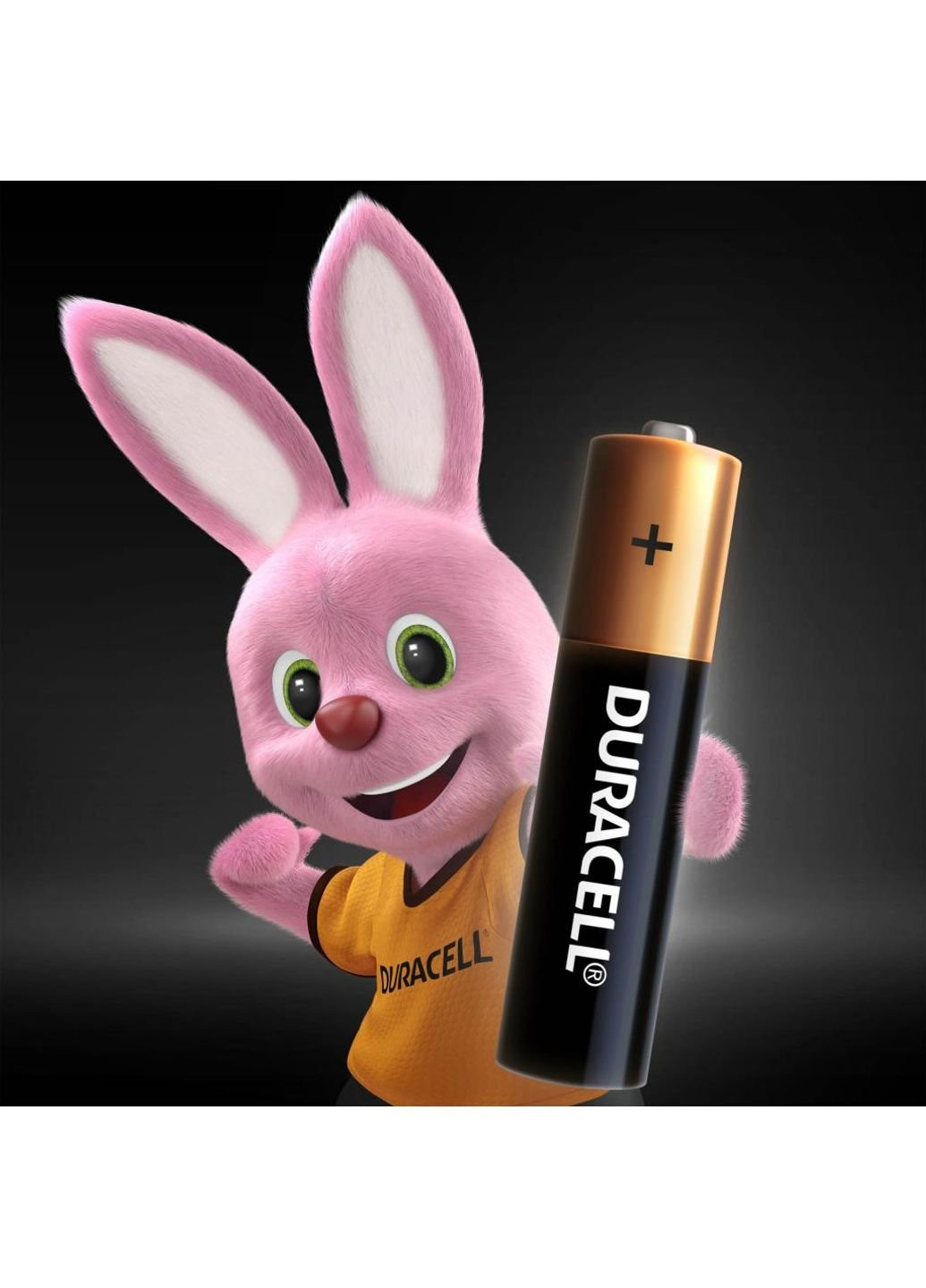 Батарея AA MN1500 LR06 * 2 (5000394058163/81551267) Duracell (251412363)