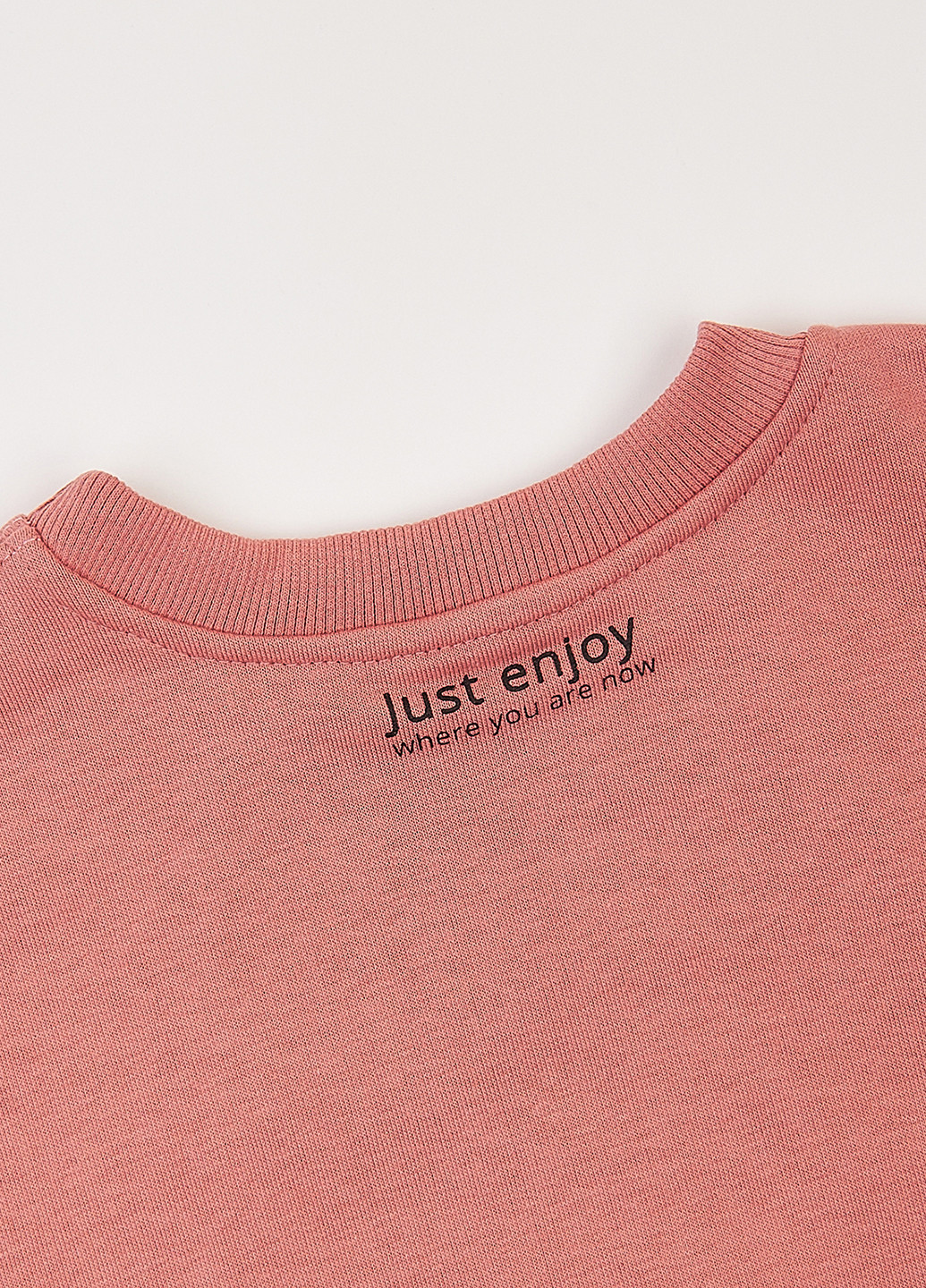 Фламинго свитшот однотонный розовый кэжуал хлопок, трехнитка