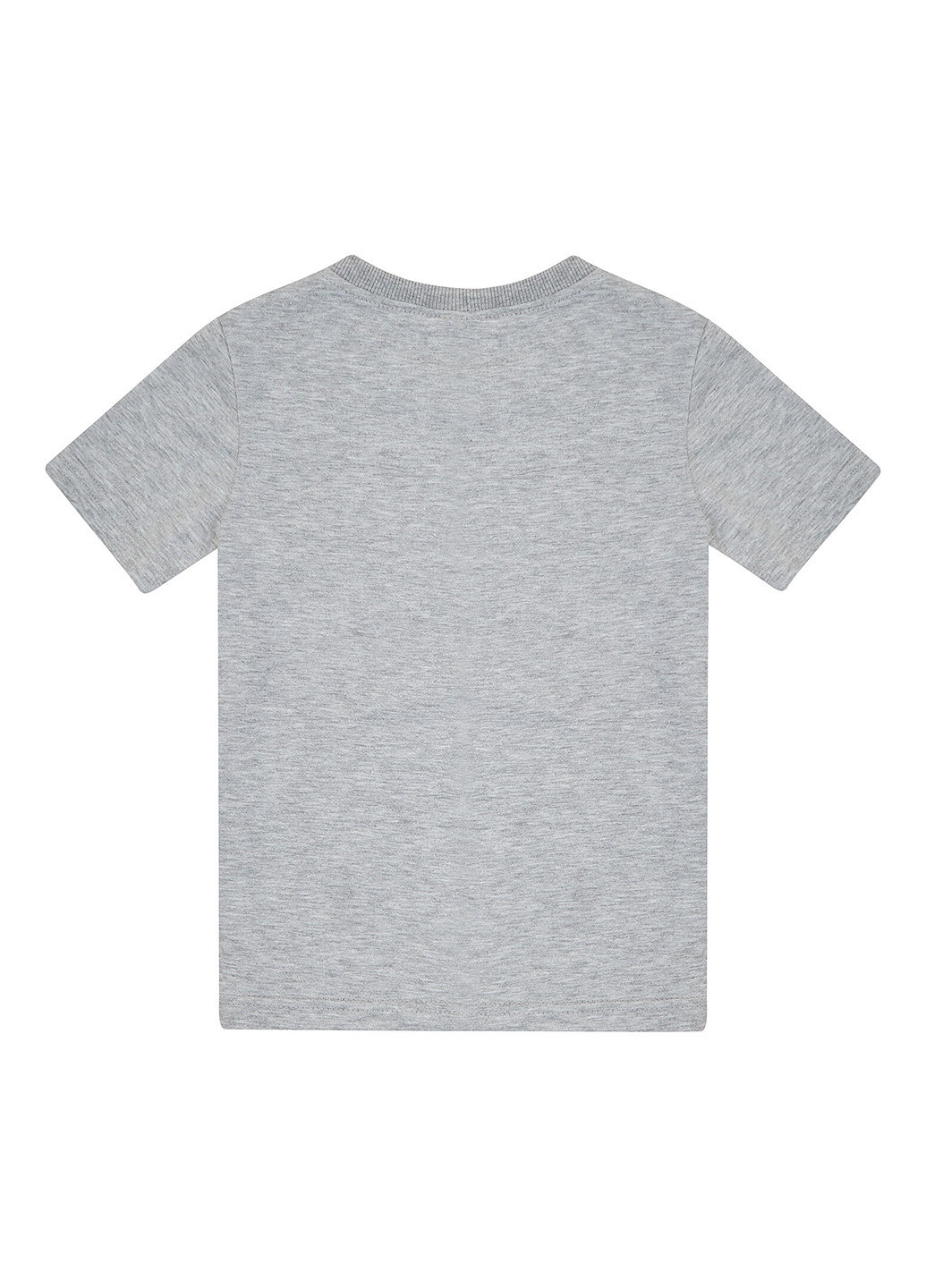 Серая летняя футболка Garnamama