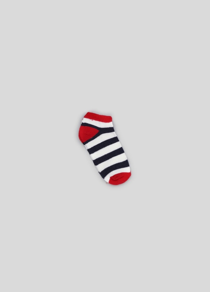 Шкарпетки C&A (255995097)