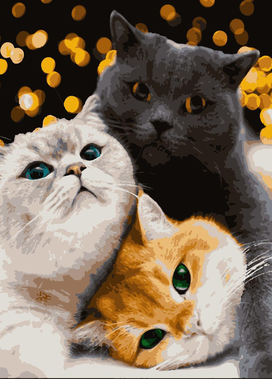 Картины по номерам "Котики-муркотики" 50*60 см No Brand (254583946)