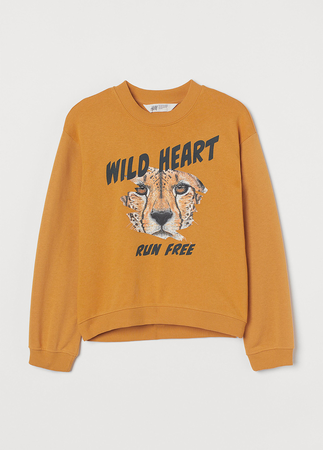 Горчичный свитшот H&M рисунок без декора (366737036)