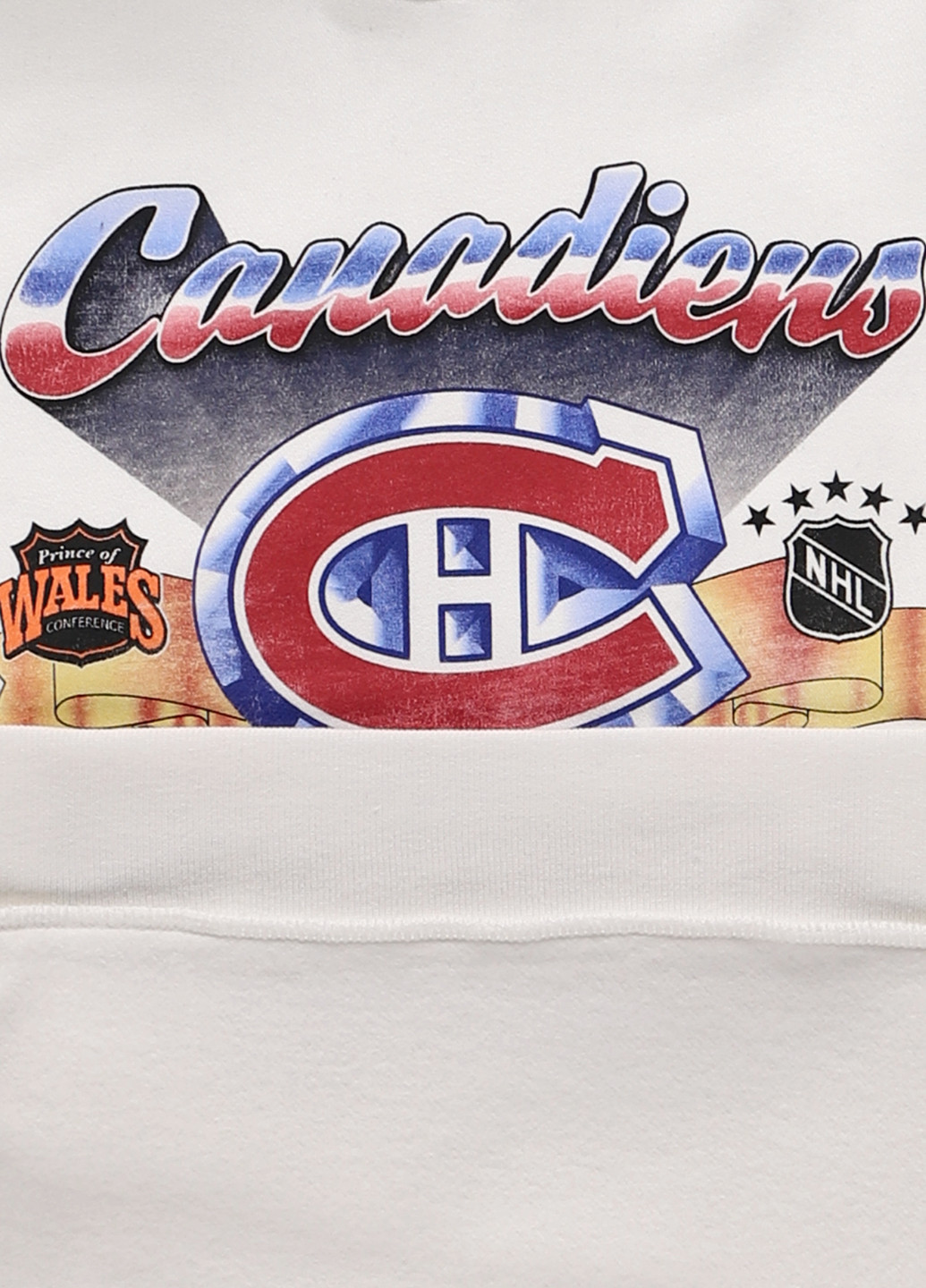 Худи Hollister (334101353)