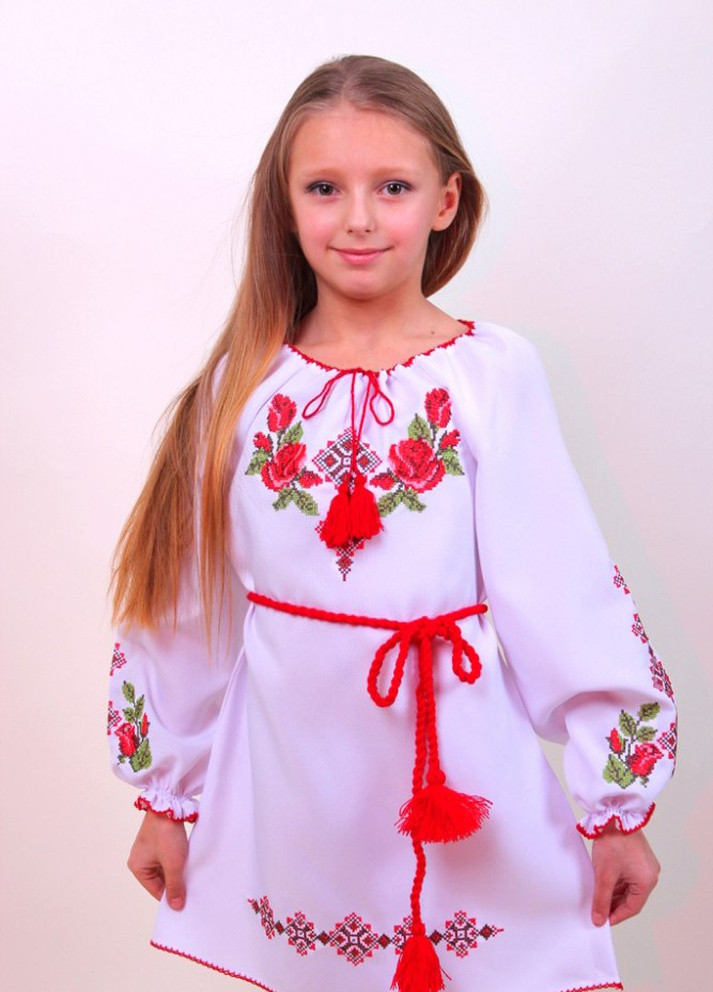 Платье-вышиванка с длинным рукавом Козачок (253994250)