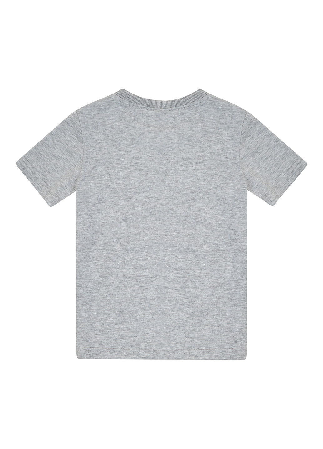 Серая летняя футболка Garnamama