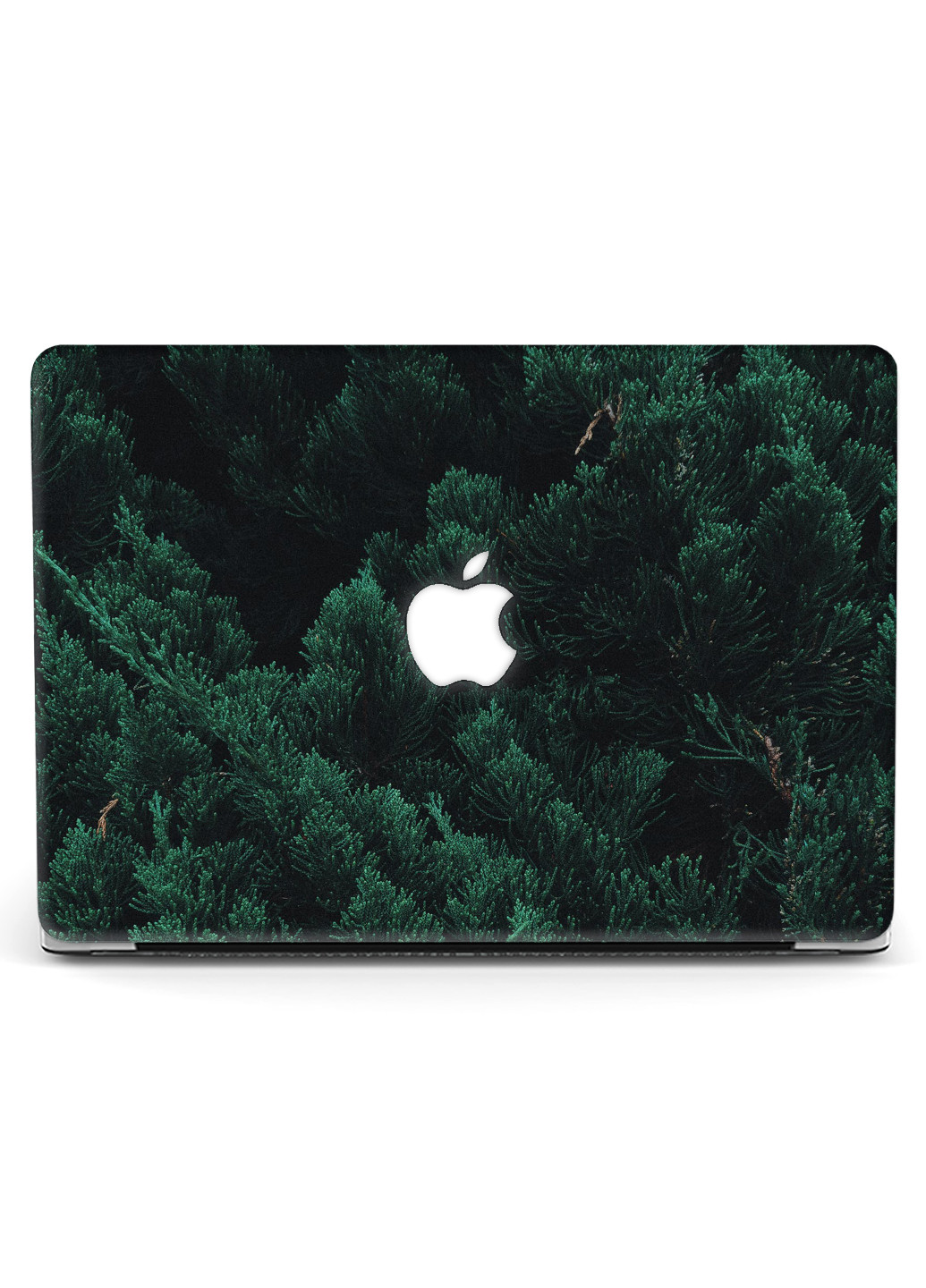 Чехол пластиковый для Apple MacBook Air 13 A1466 / A1369 Декоративная туя (Decorative thuja) (6351-2380) MobiPrint (218867520)