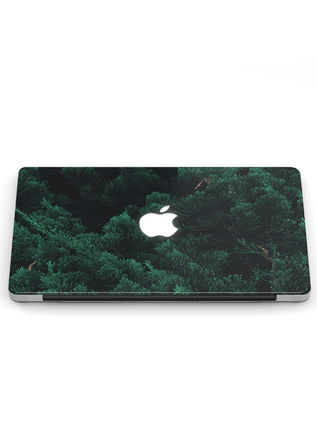 Чехол пластиковый для Apple MacBook Air 13 A1466 / A1369 Декоративная туя (Decorative thuja) (6351-2380) MobiPrint (218867520)