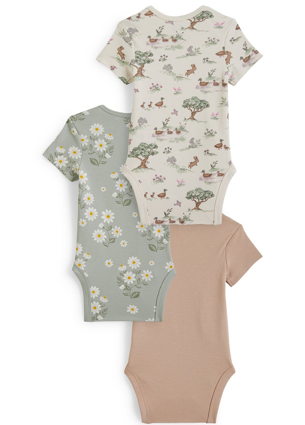 Боди (3 шт.) C&A (323072399)