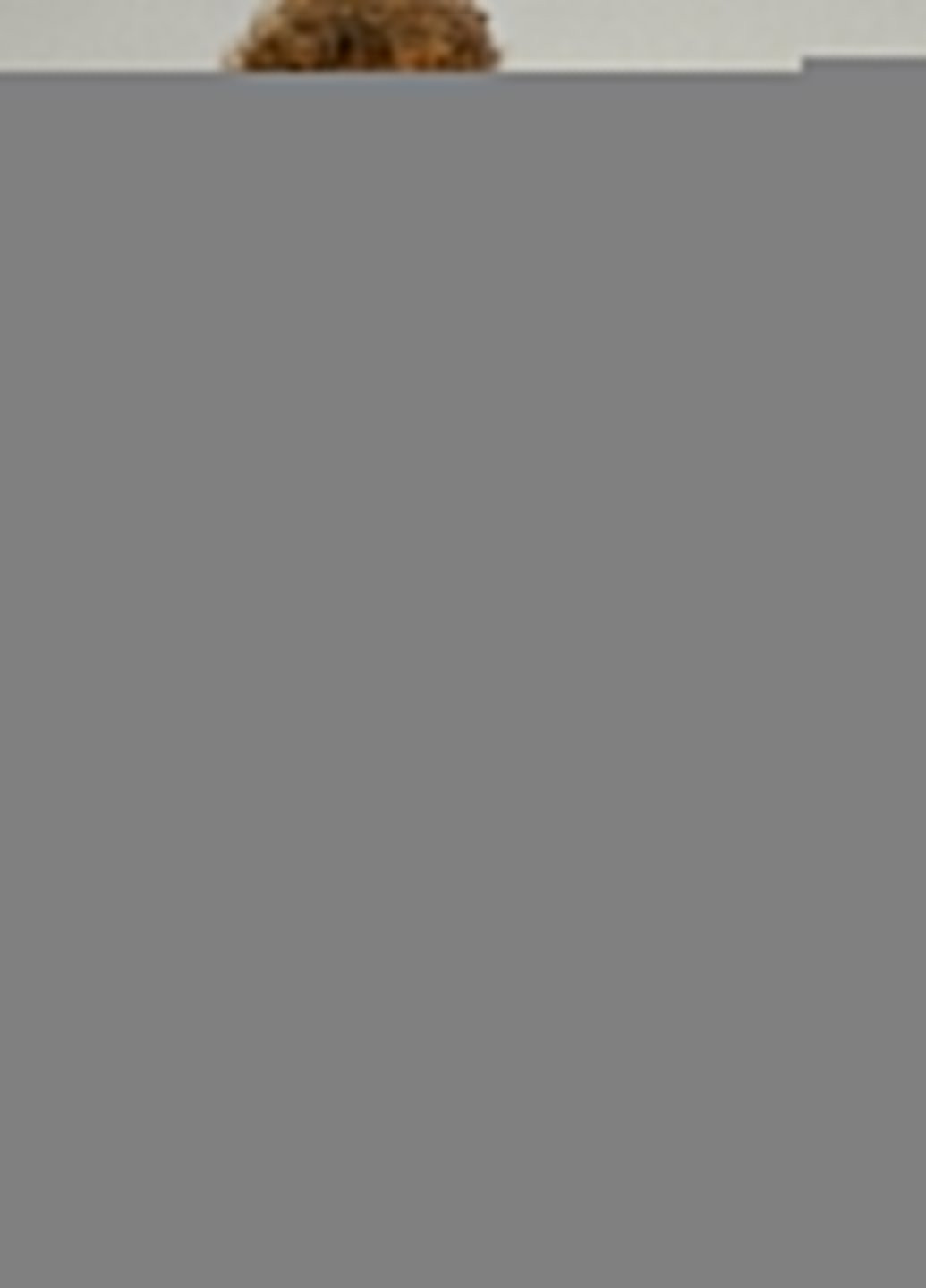 Свитшот мужской OVERSIZE /no flis/ YAPPI - крой рисунок белый кэжуал - (251791304)
