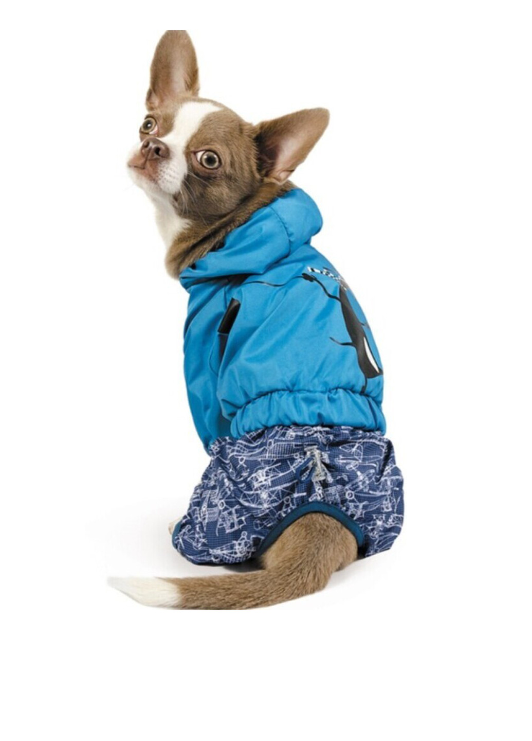 Дощовик PET (369721806)