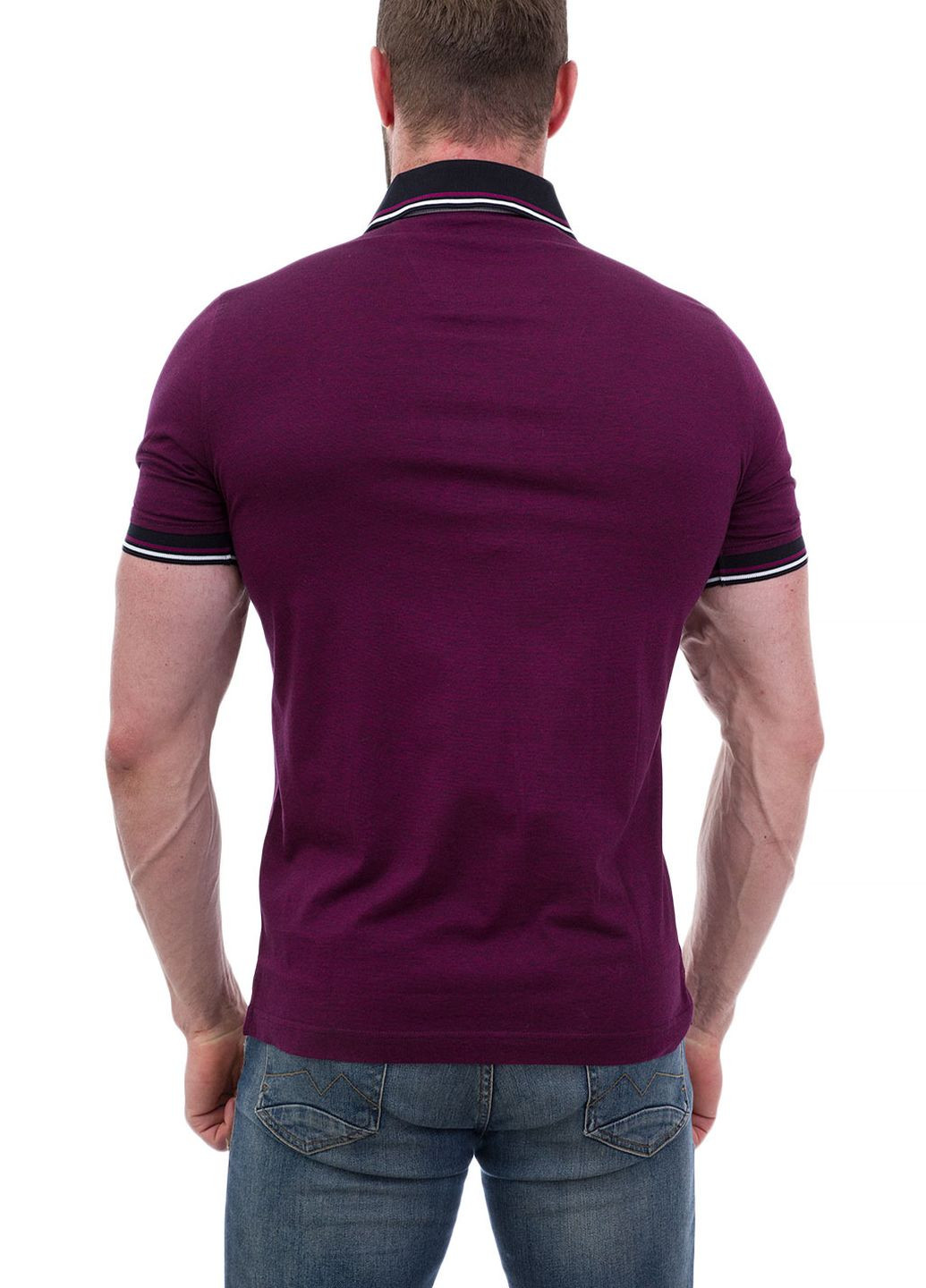 Фиолетовая футболка-поло для мужчин Monte Carlo однотонная