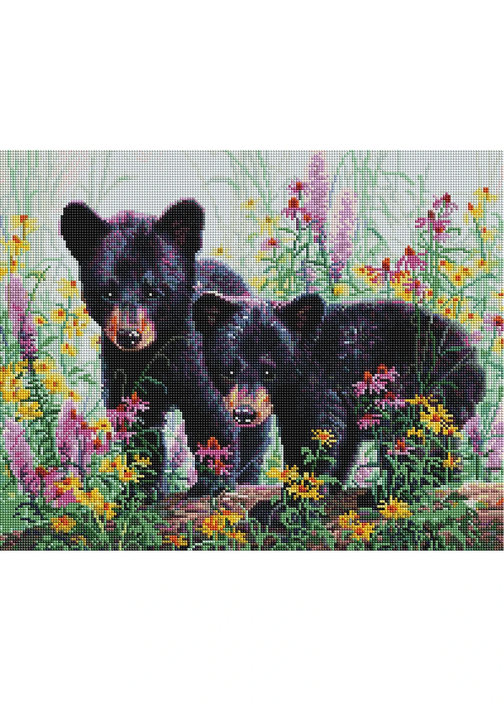 Алмазна мозаїка "Ведмежата в кольорах" 40х50 см Brushme (199230567)