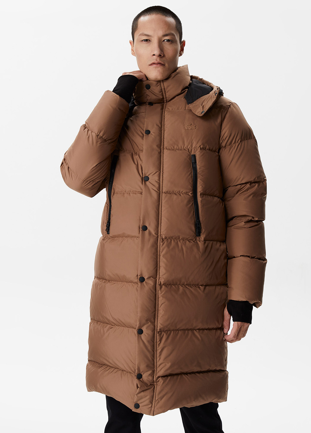 Коричневая зимняя куртка Lacoste