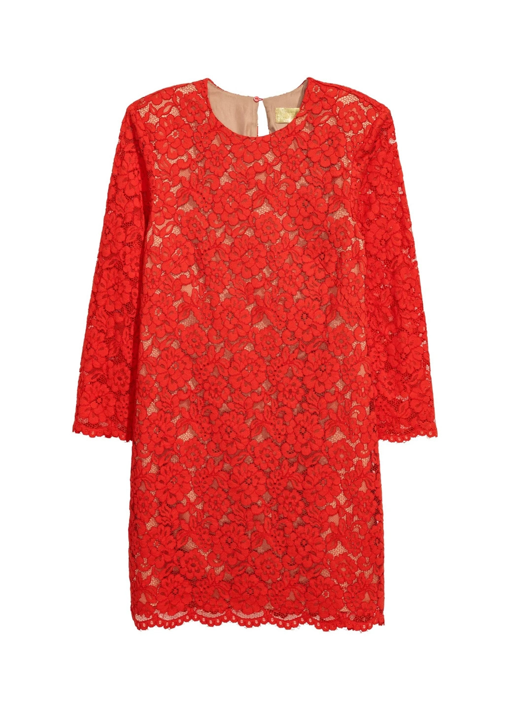 Комбінована кежуал, коктейльна сукня H&M з квітковим принтом