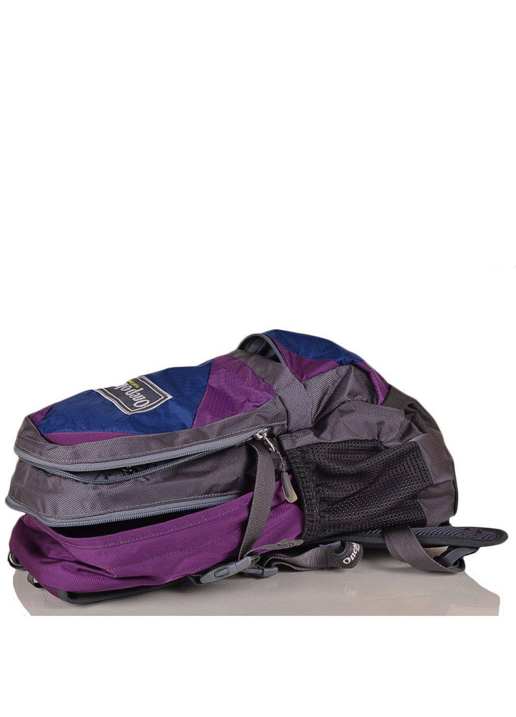 Дитячий рюкзак 39х23х16 см Onepolar (212709392)