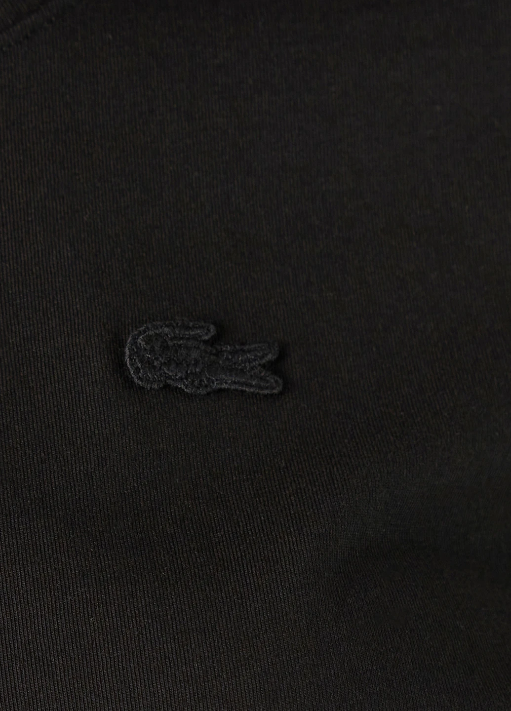 Футболка Lacoste - (276537839)