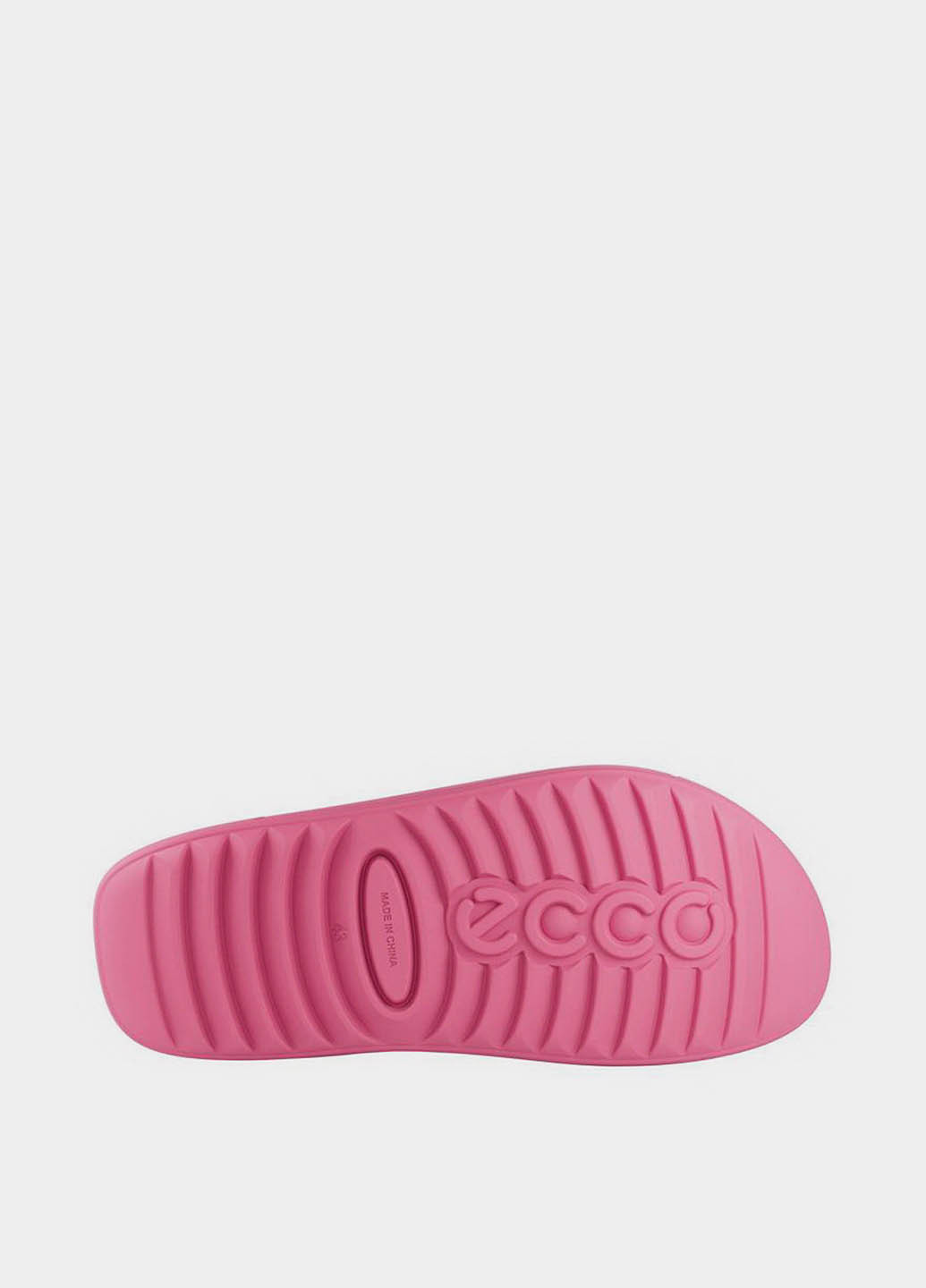 Шльопанці Ecco (365688672)
