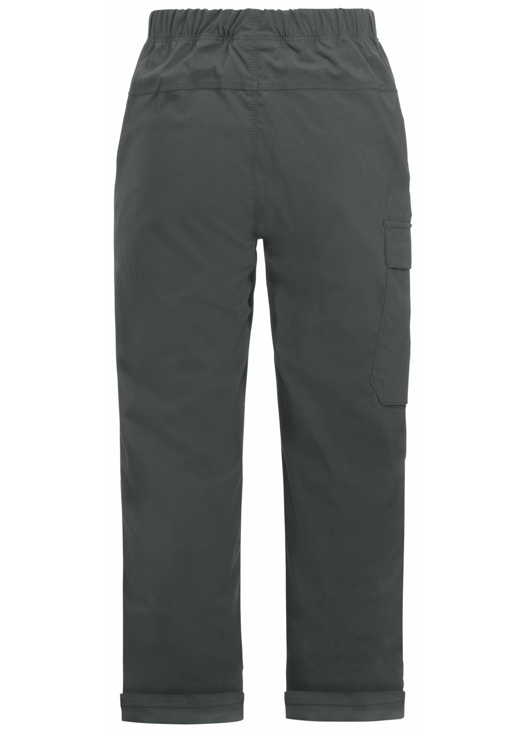 Штани Jack Wolfskin DESERT PANTS K (292936268)