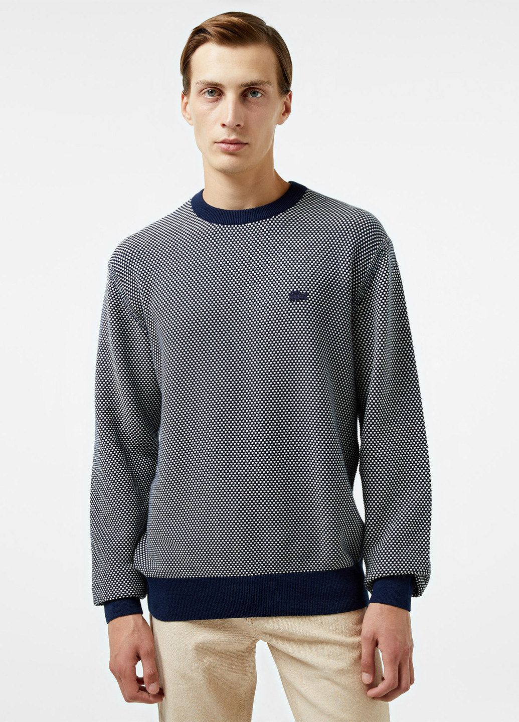 Темно-синій демісезонний джемпер джемпер Lacoste