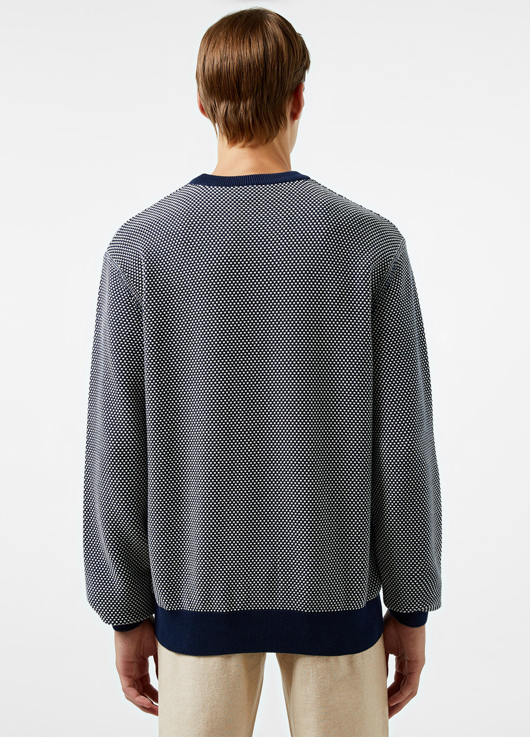 Темно-синій демісезонний джемпер джемпер Lacoste