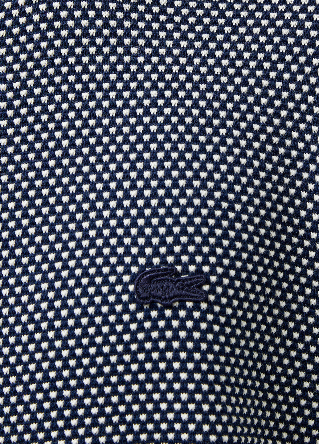 Темно-синій демісезонний джемпер джемпер Lacoste