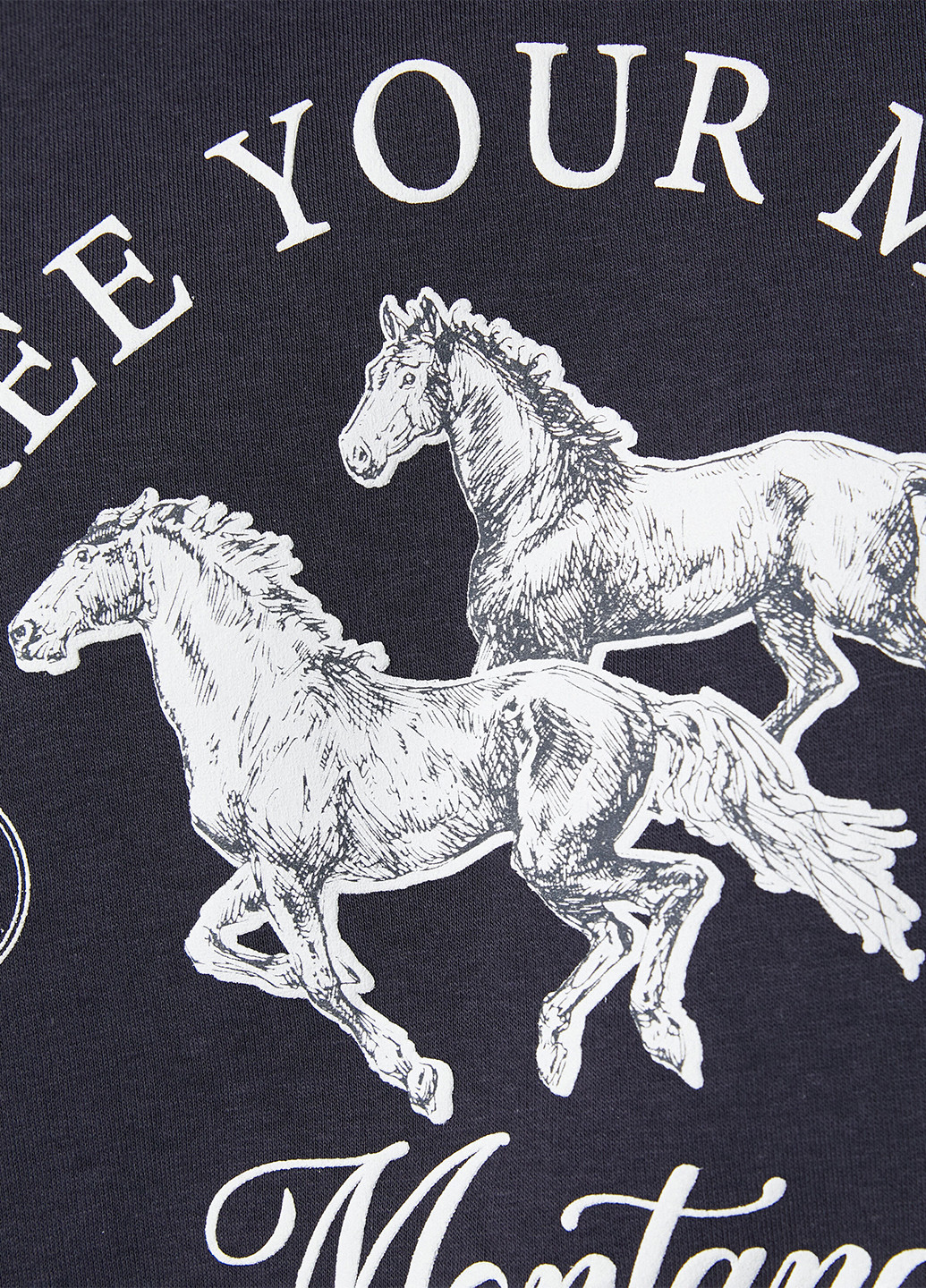 Темно-сірий світшот KOTON кінь без декору (263704332)