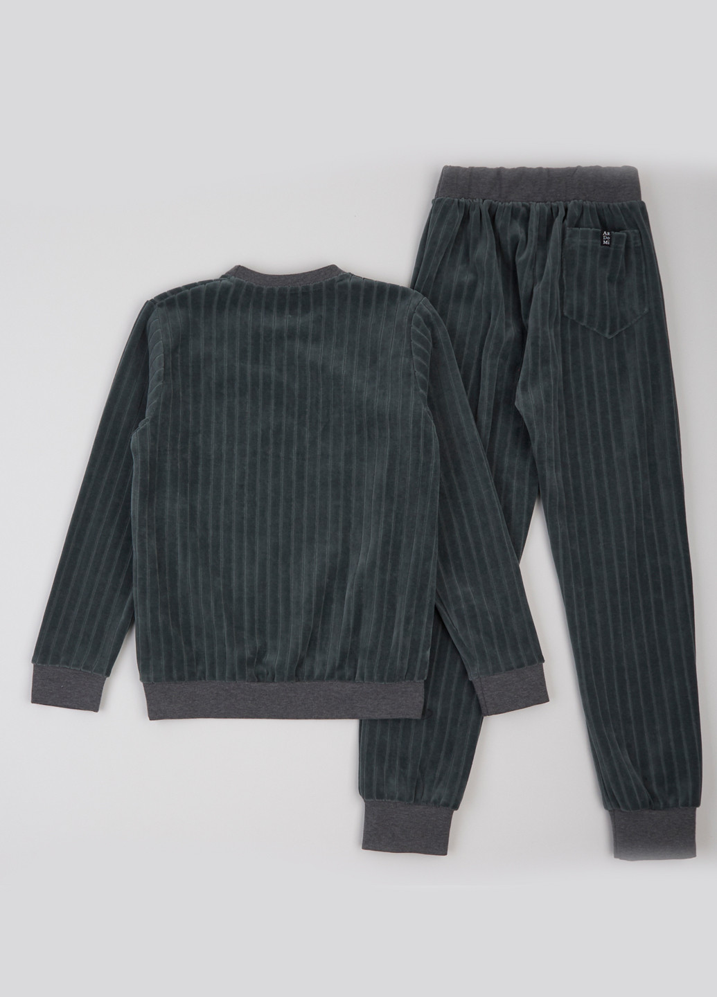 Костюм (свитшот, брюки) ArDoMi (316877956)