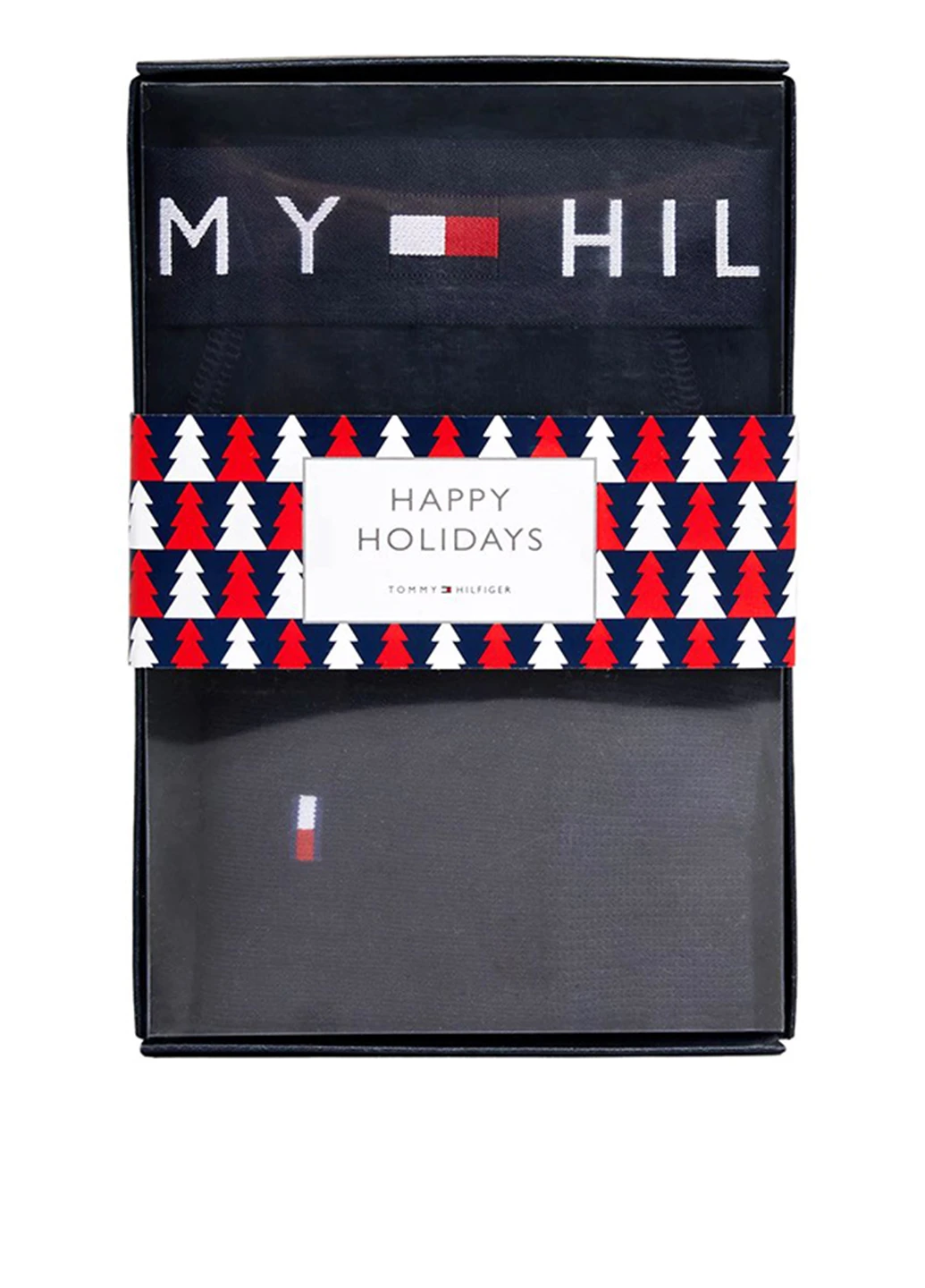 Комплект (труси, шкарпетки) Tommy Hilfiger (302807708)