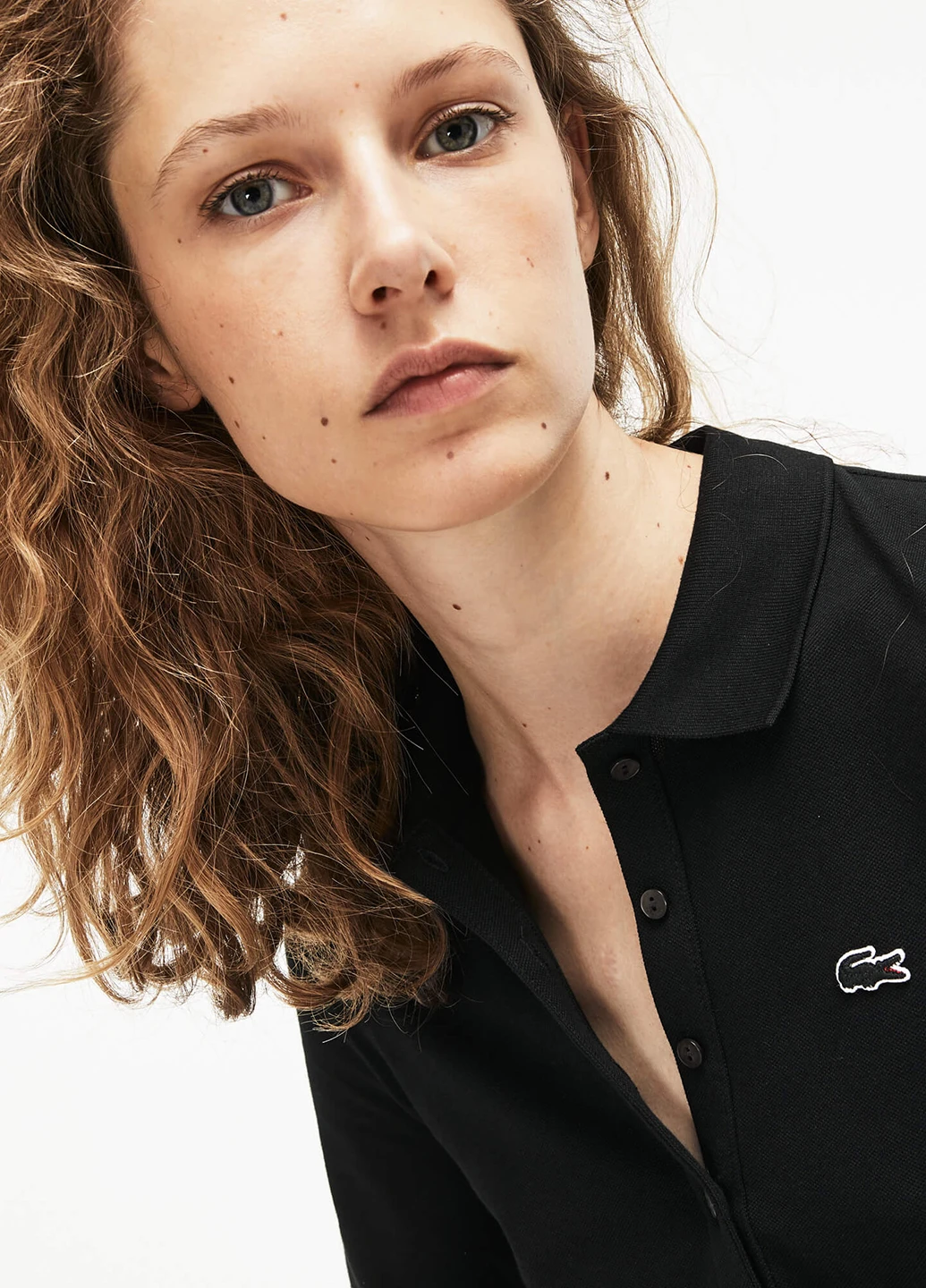 Поло Lacoste (250493833)