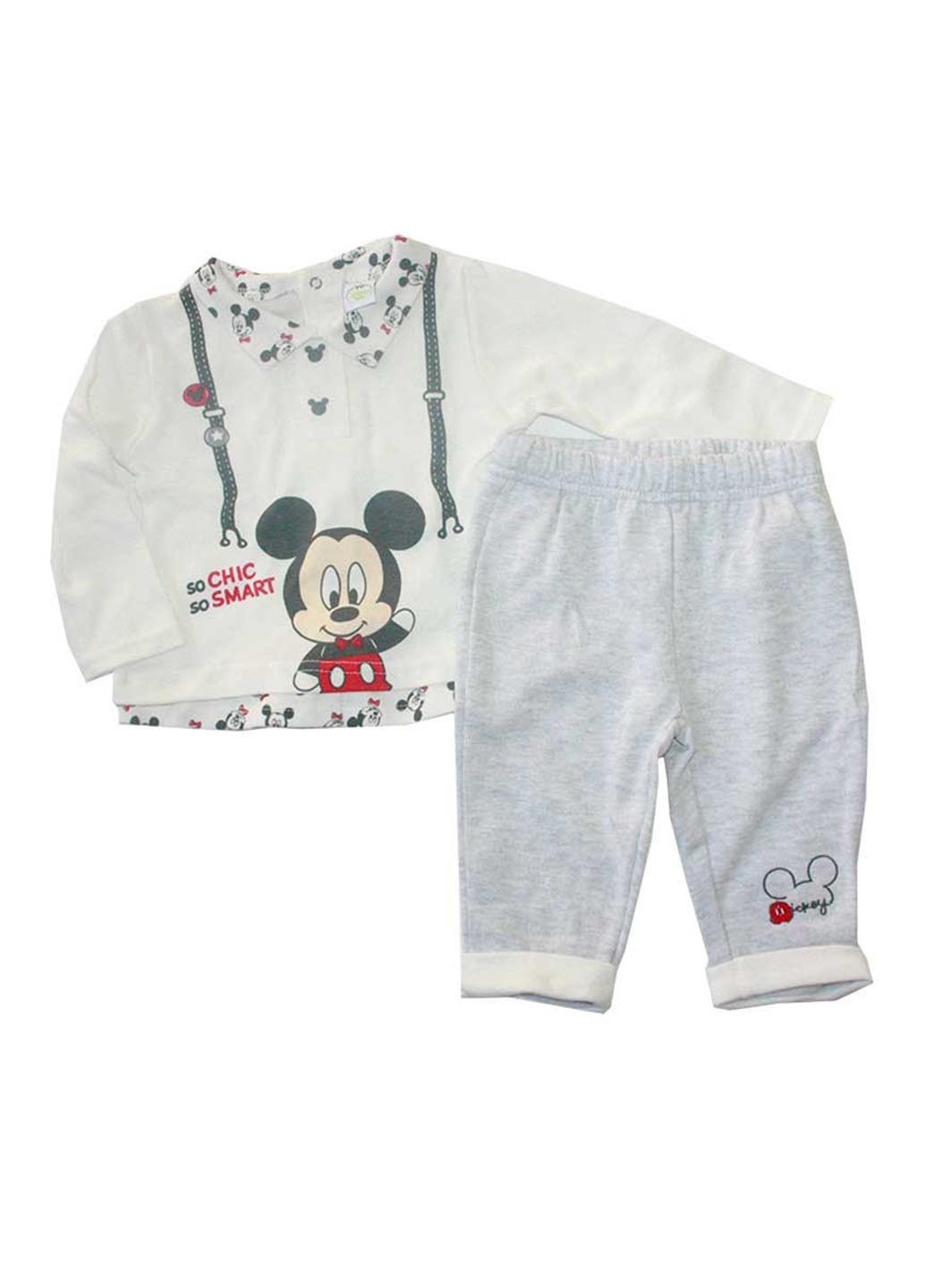 Сірий демісезонний комплект (кофта, штани) Disney